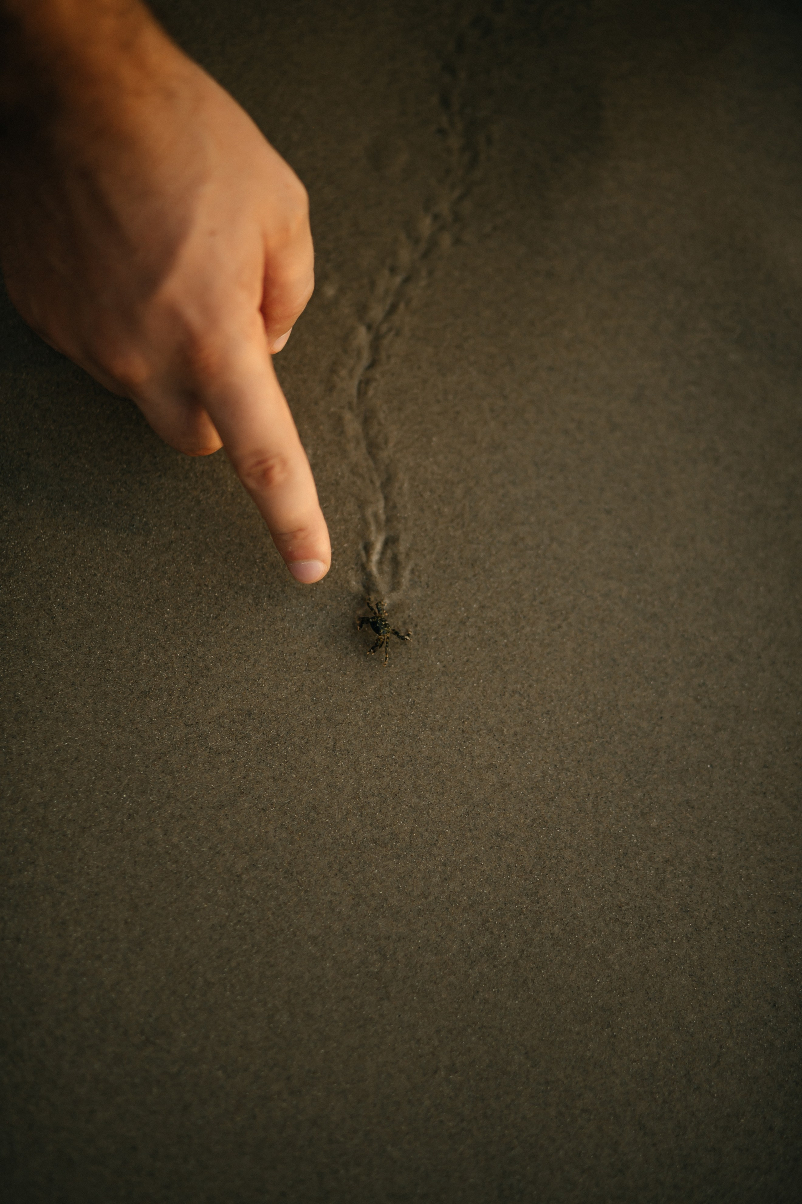 Katya & Fil Givat Olga. Family photographer in Israel