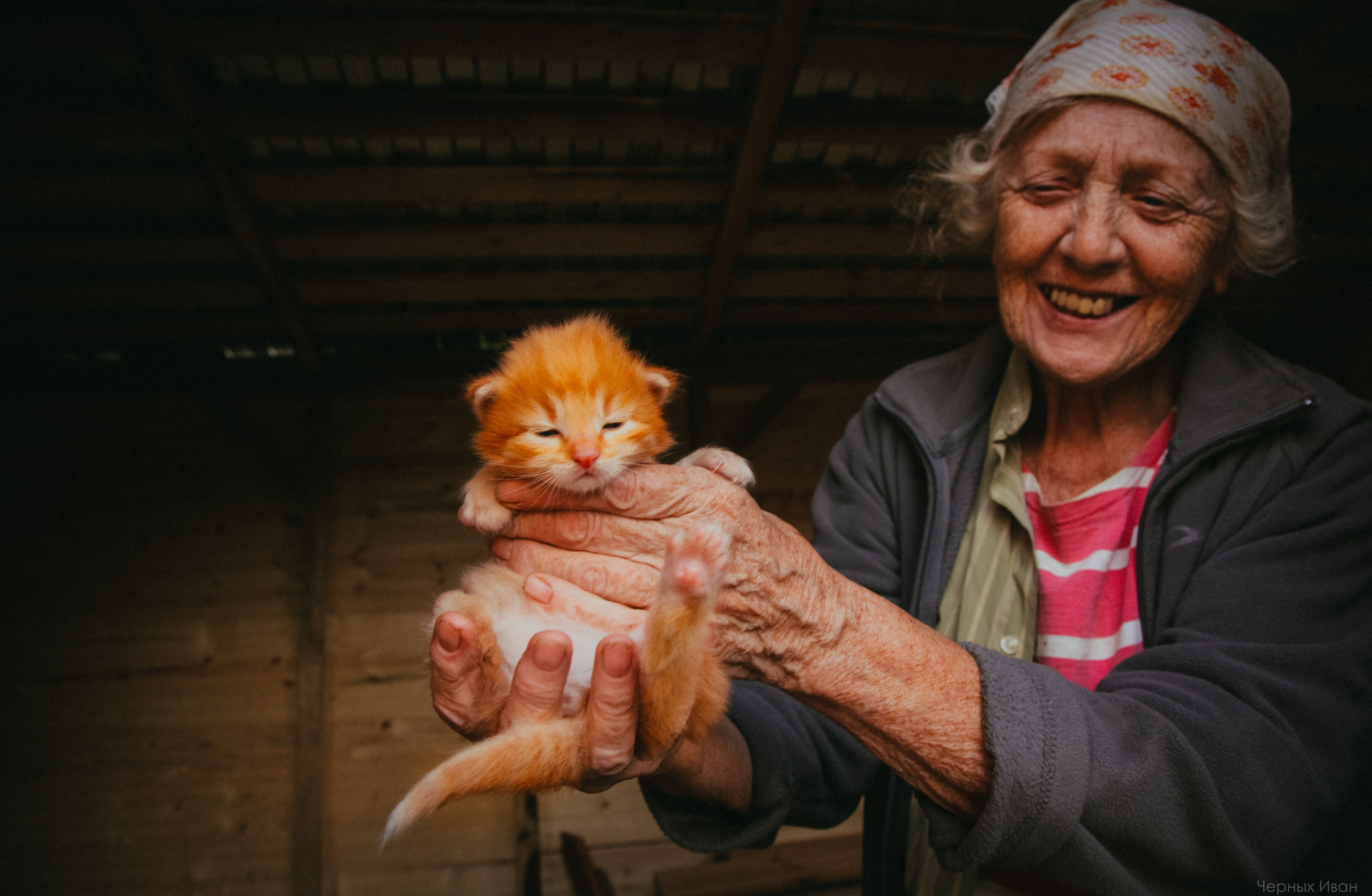 Кот шпедингера. Стрит-фотография, полная абсурда, идиотизма и красоты