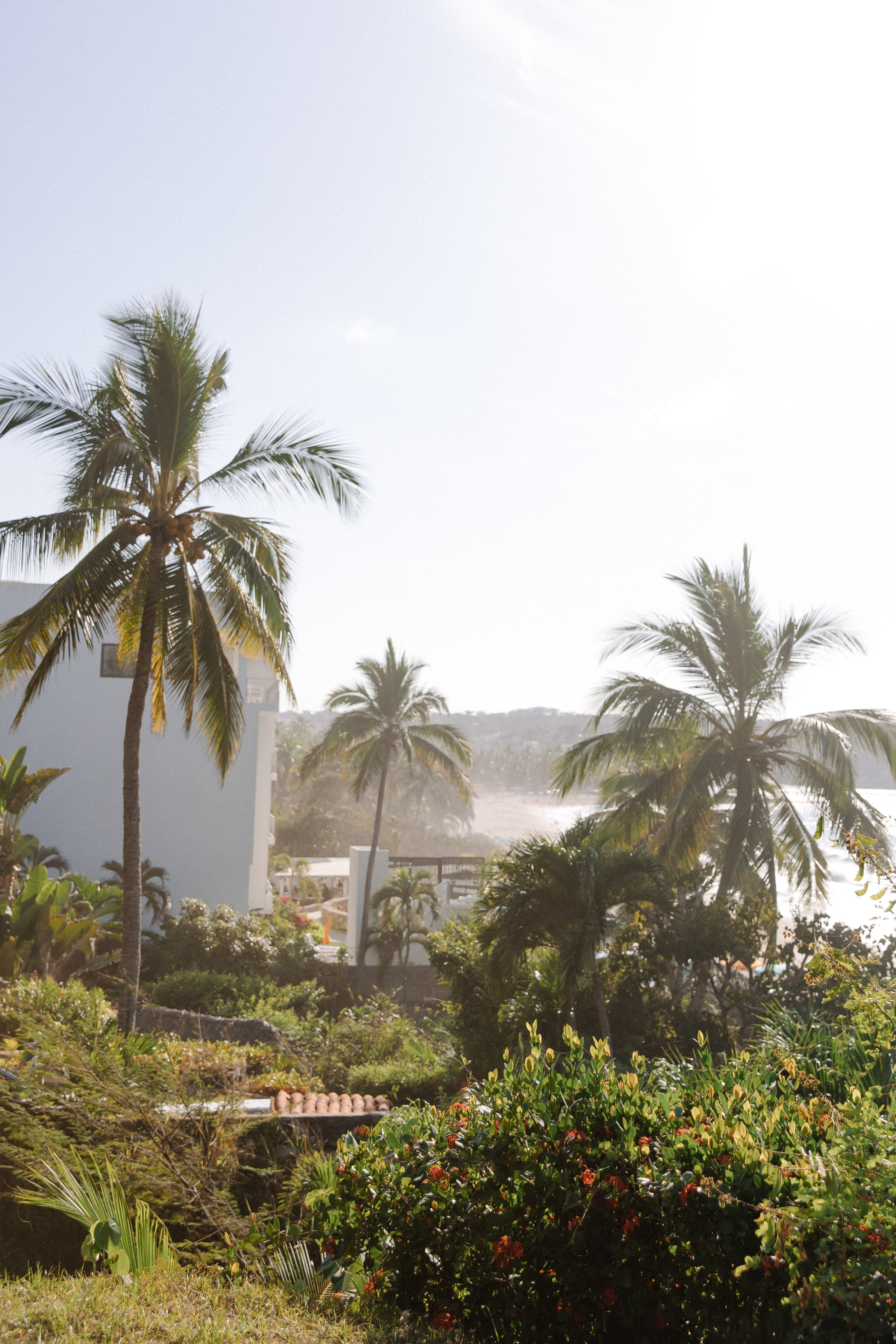 Villa del Oso, Sayulita. Wedding photographer Mexico Sayulita Puerto Vallarta Punta Mita Cabo