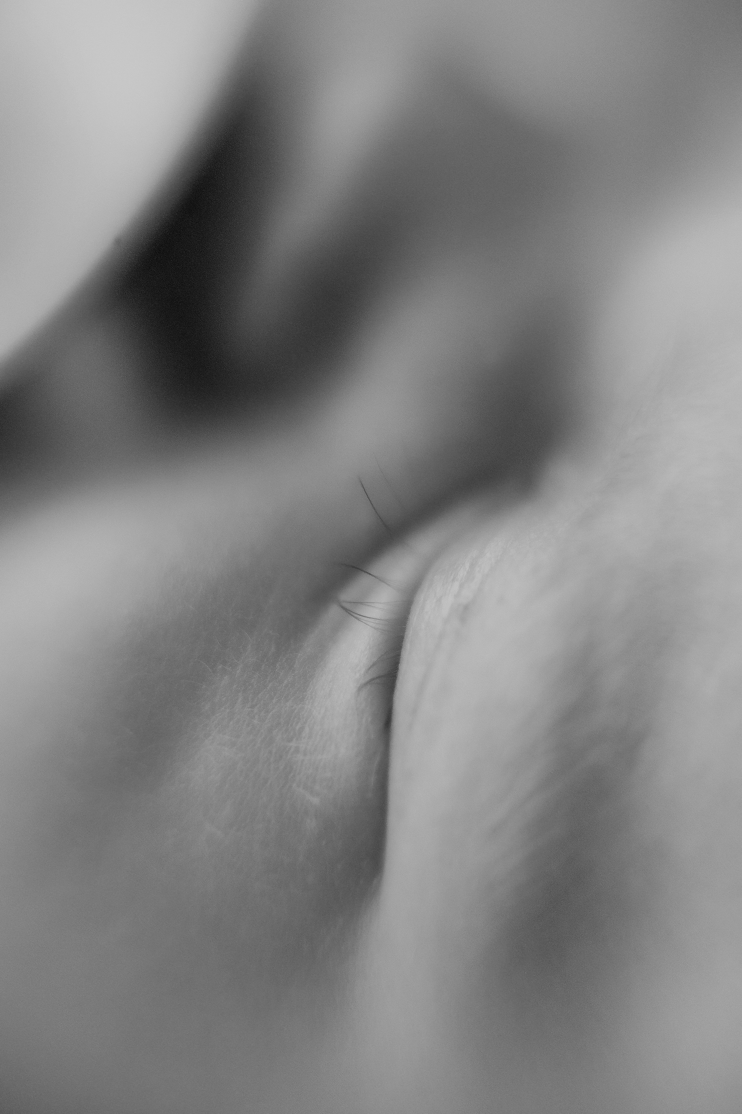 Baby Boy. Фотограф Ирина Йотова