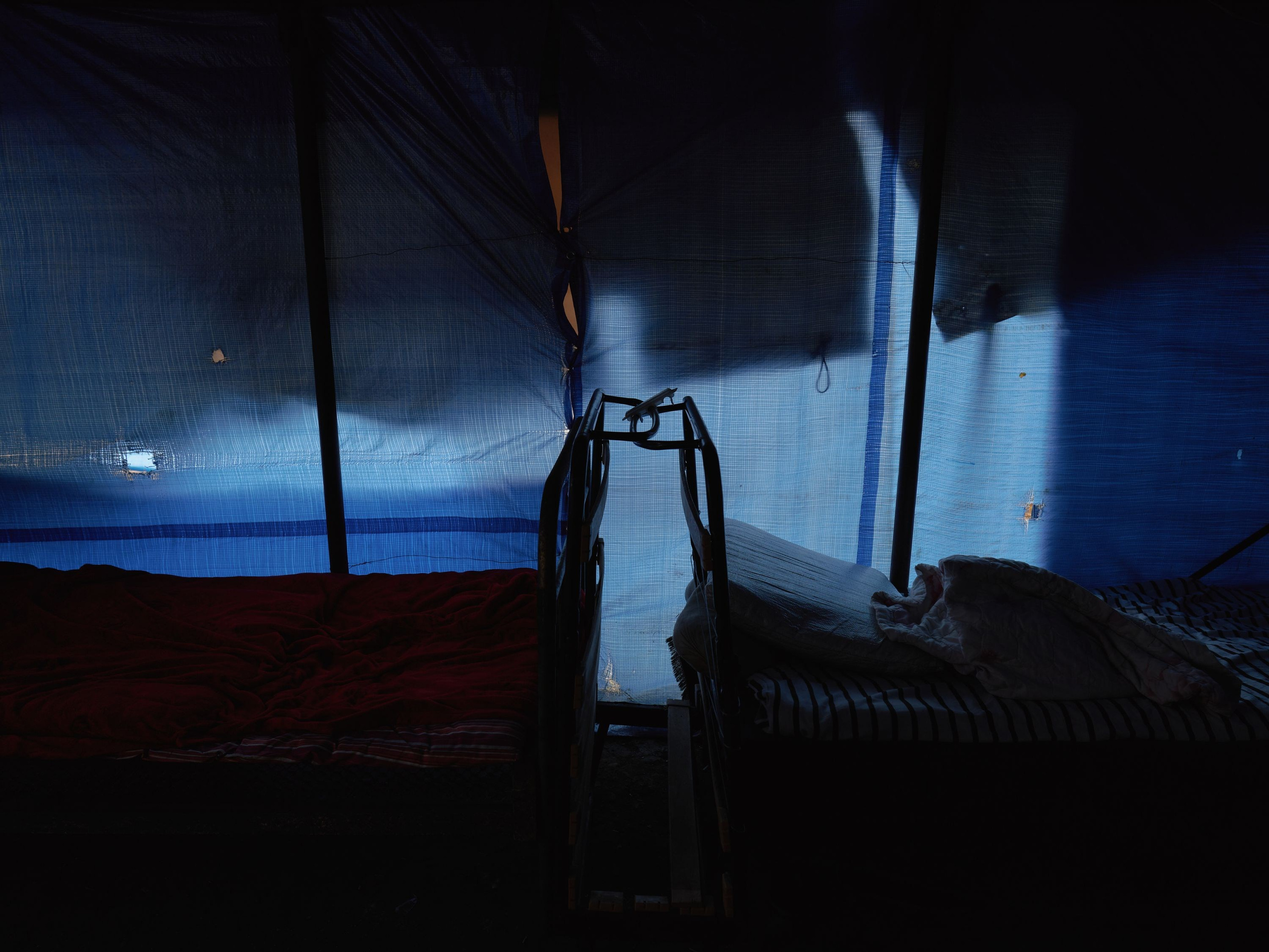 Scars of Shukruti. Egor Borie