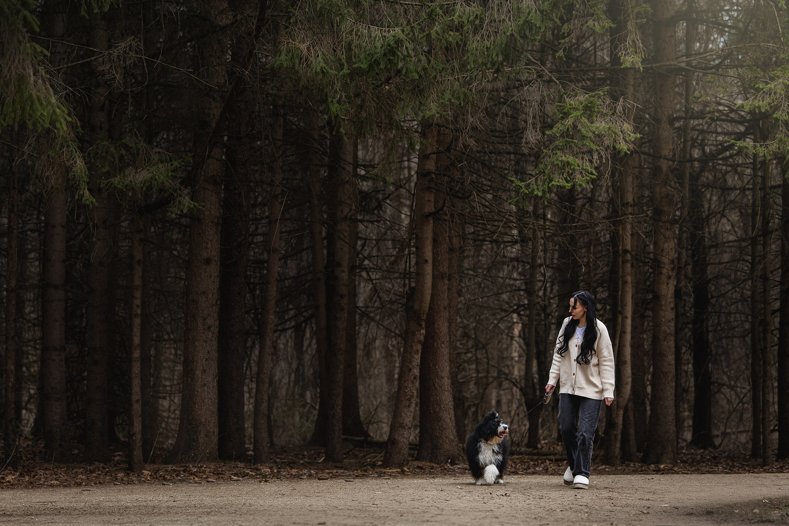 Rolex & Kate. Pet Photographer Viktoriya Aleshenko
