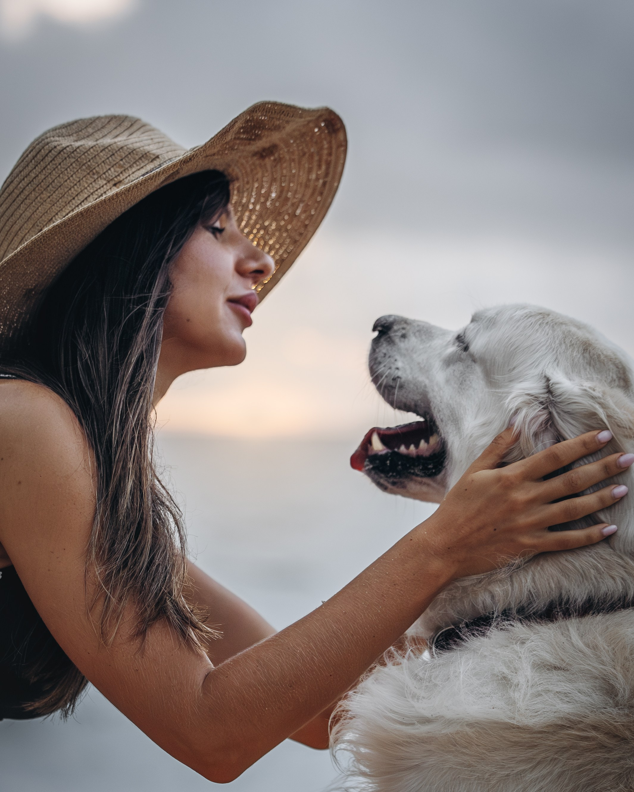 Robby & Asya. Pet Photographer Viktoriya Aleshenko