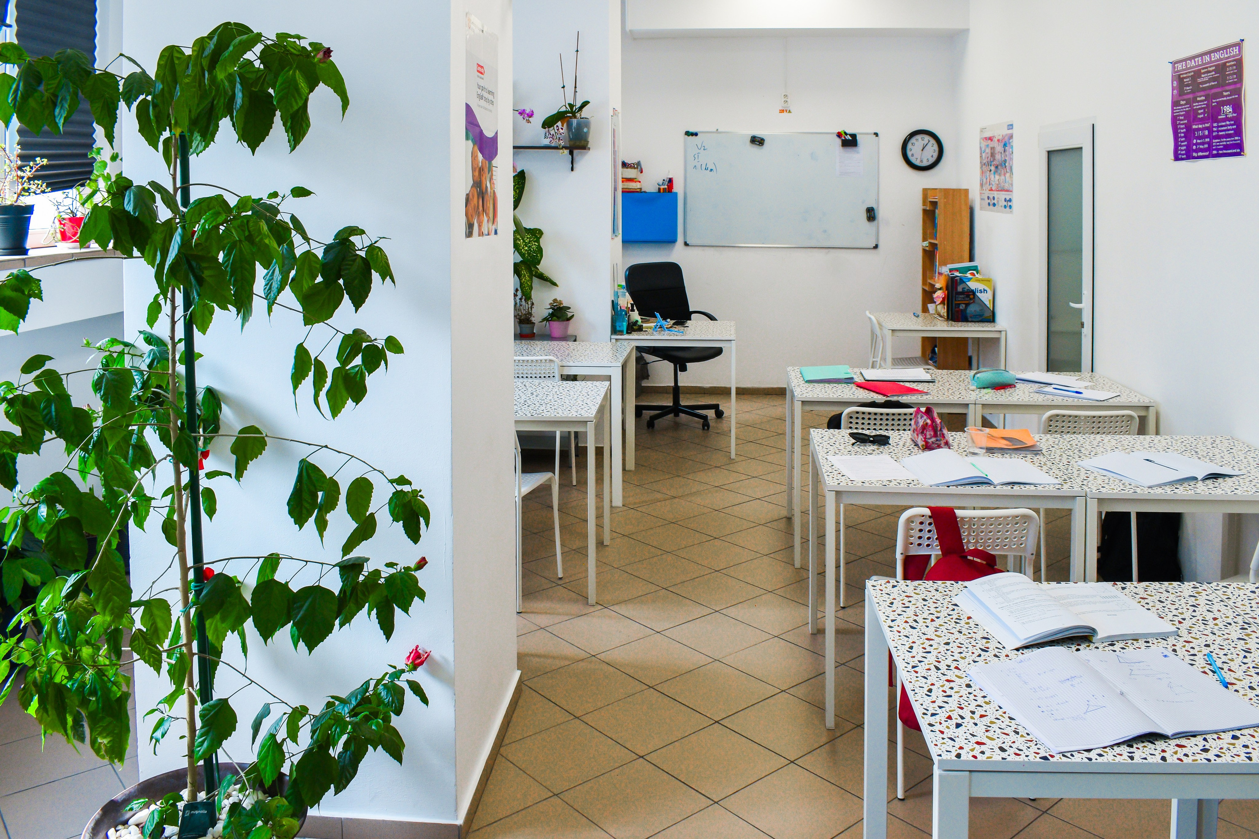 Love in English. Adelinne