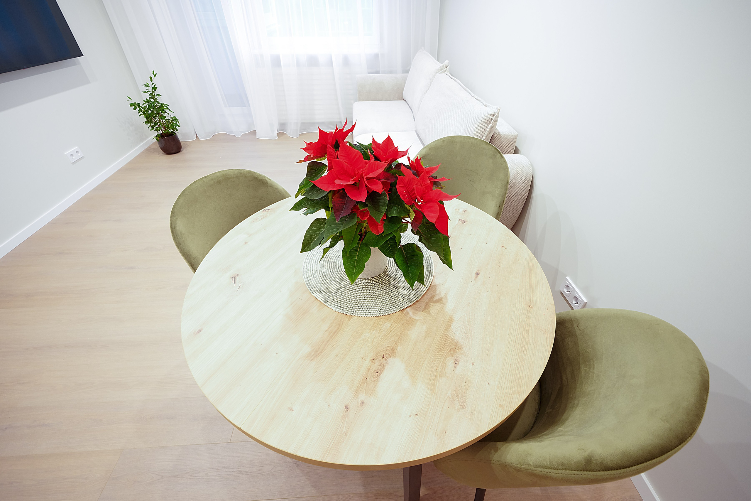 Stanevičiaus g. 82. Elina Sapiega fotografė Vilniuje