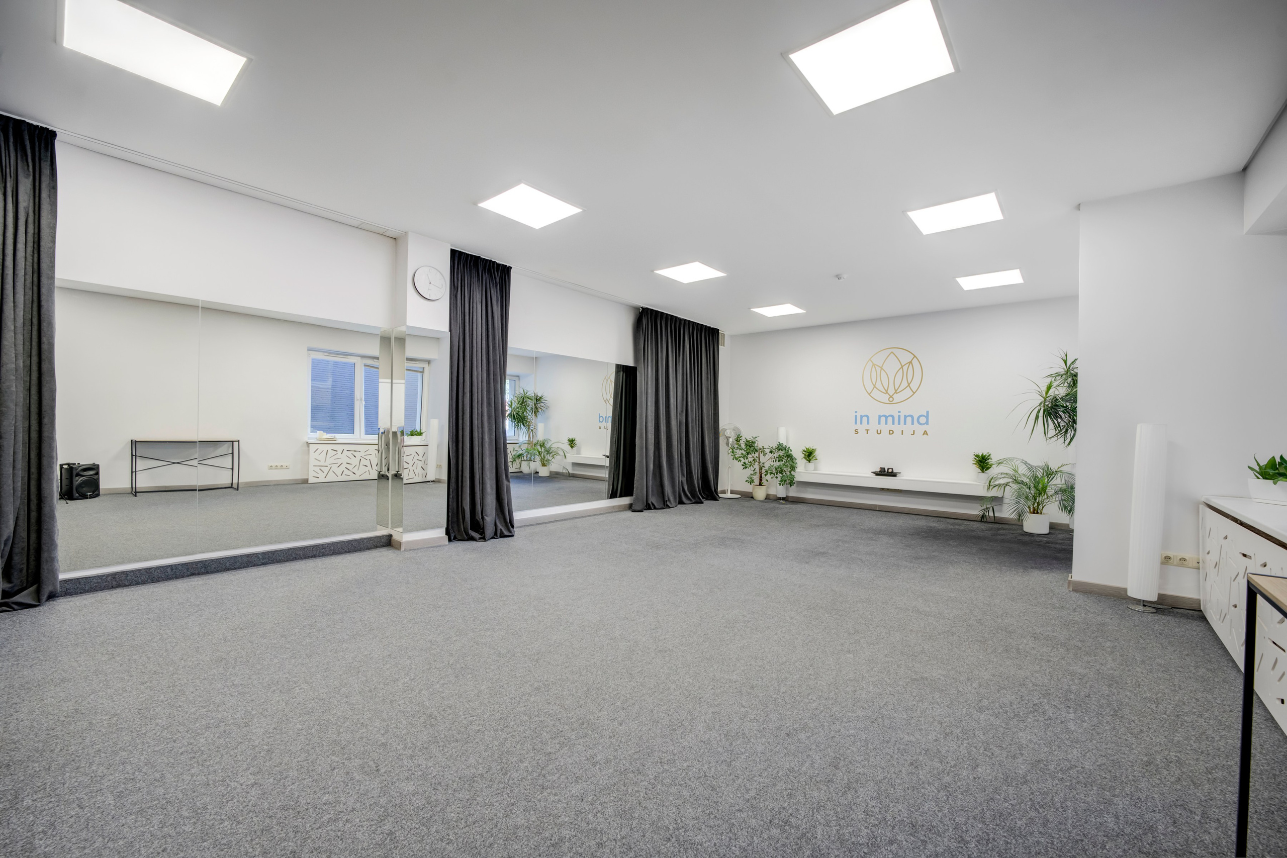 Saltoniškių g. 31. Elina Sapiega fotografė Vilniuje