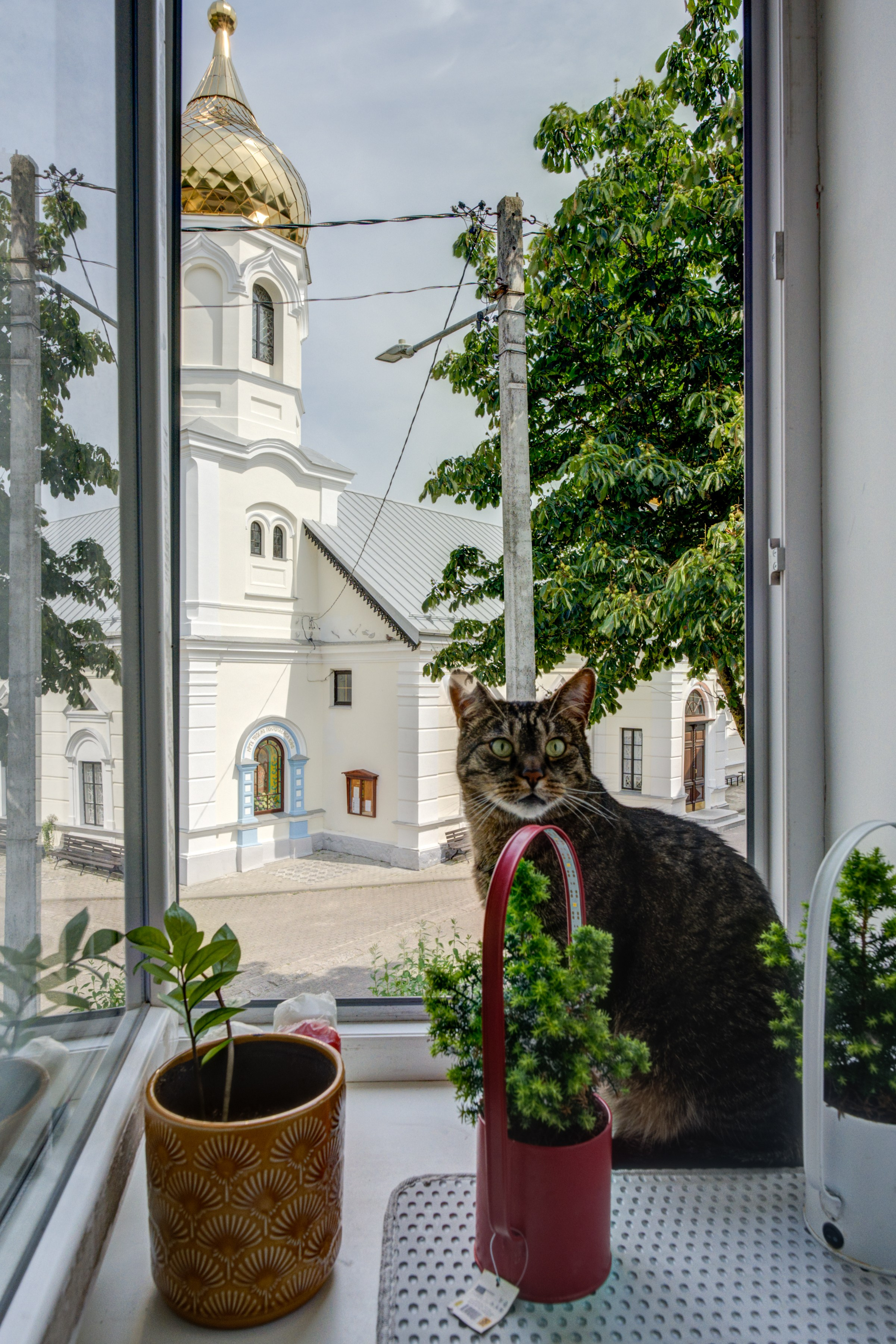 Naujaninkai mažas butelis. Elina Sapiega fotografė Vilniuje