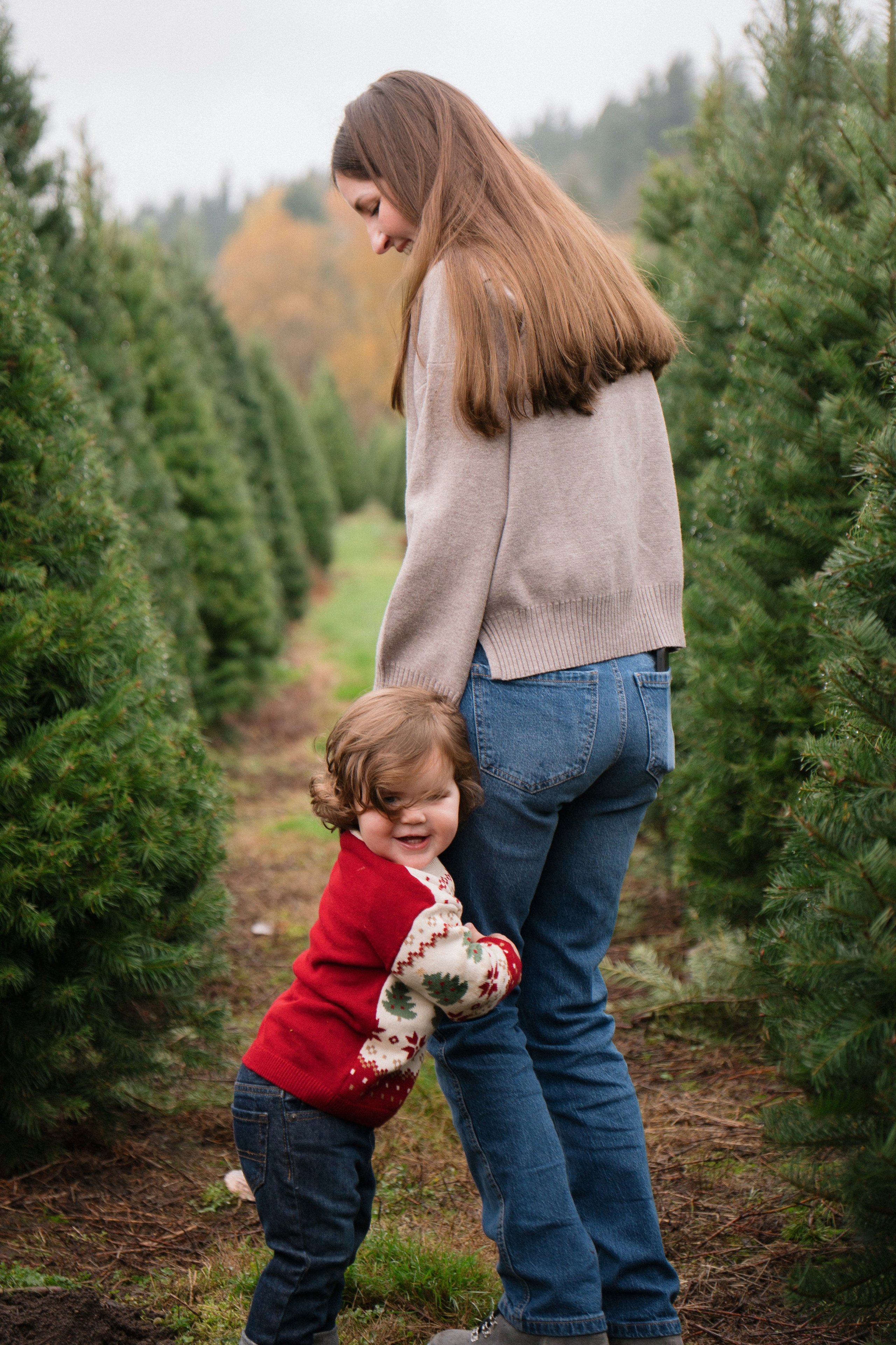 Christmas sessions. Photographer in Washington Sophia D