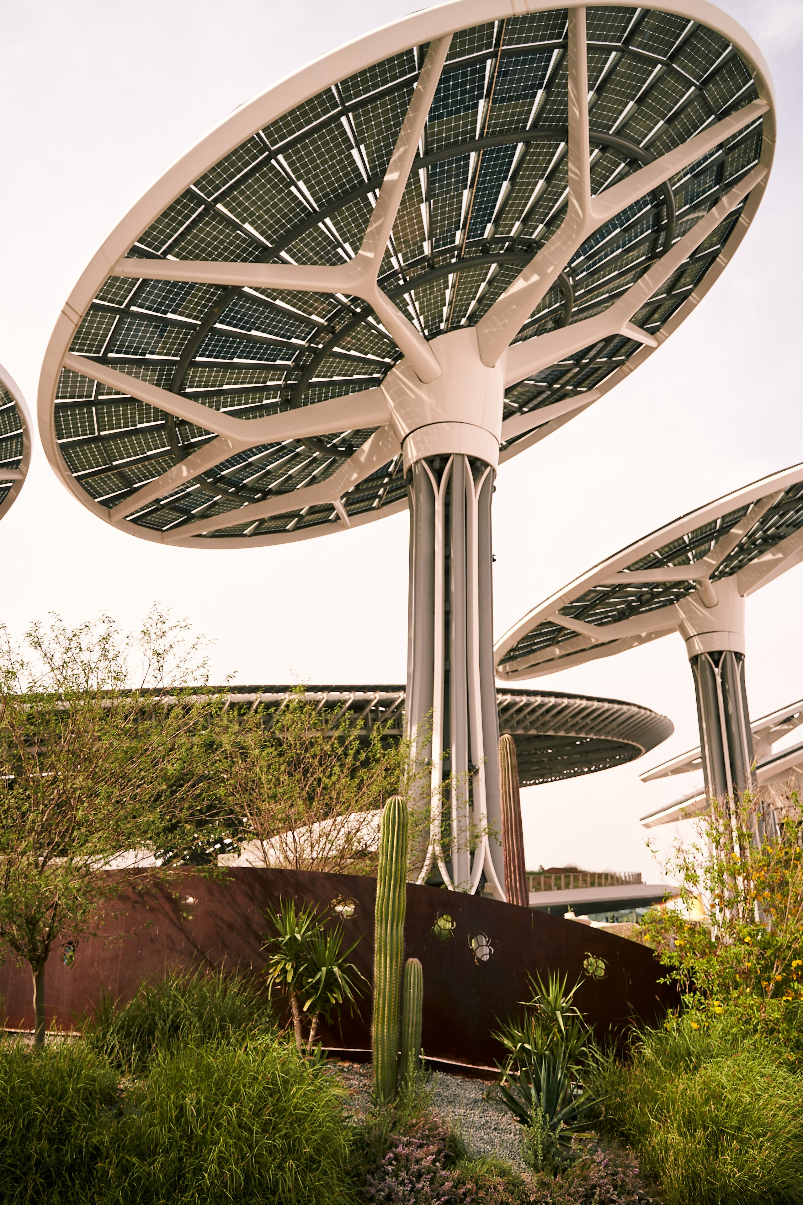 Dubai. Denshyr — Visual Artist