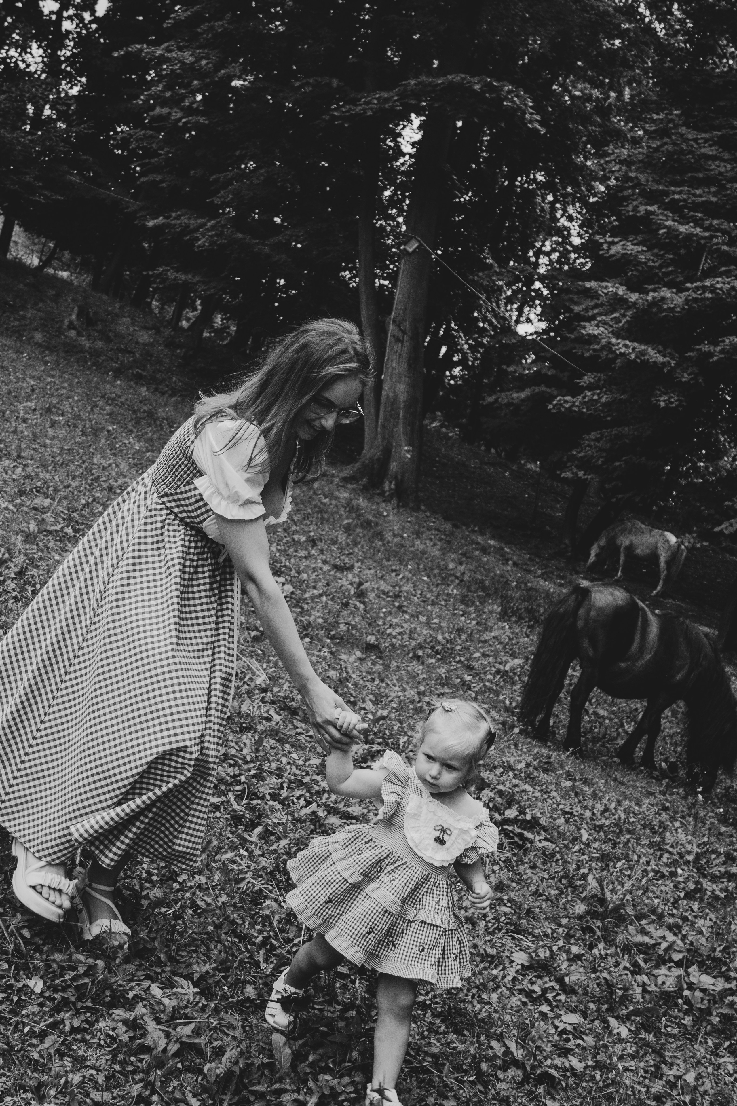 Family Session — Farm with Ponies