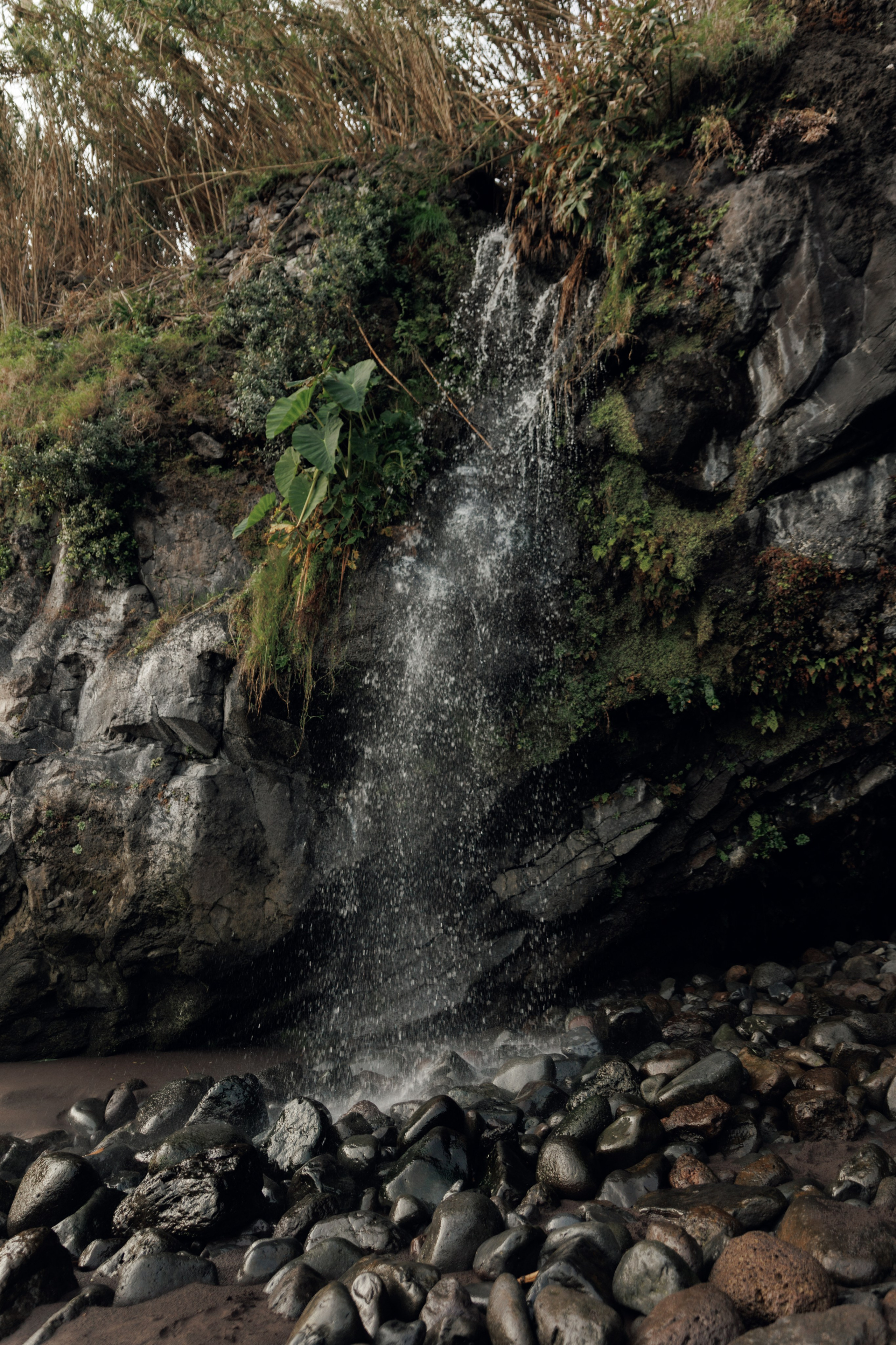 Lost in Madeira. Patricia Morenci — Mountain Adventures for the Wild at Heart