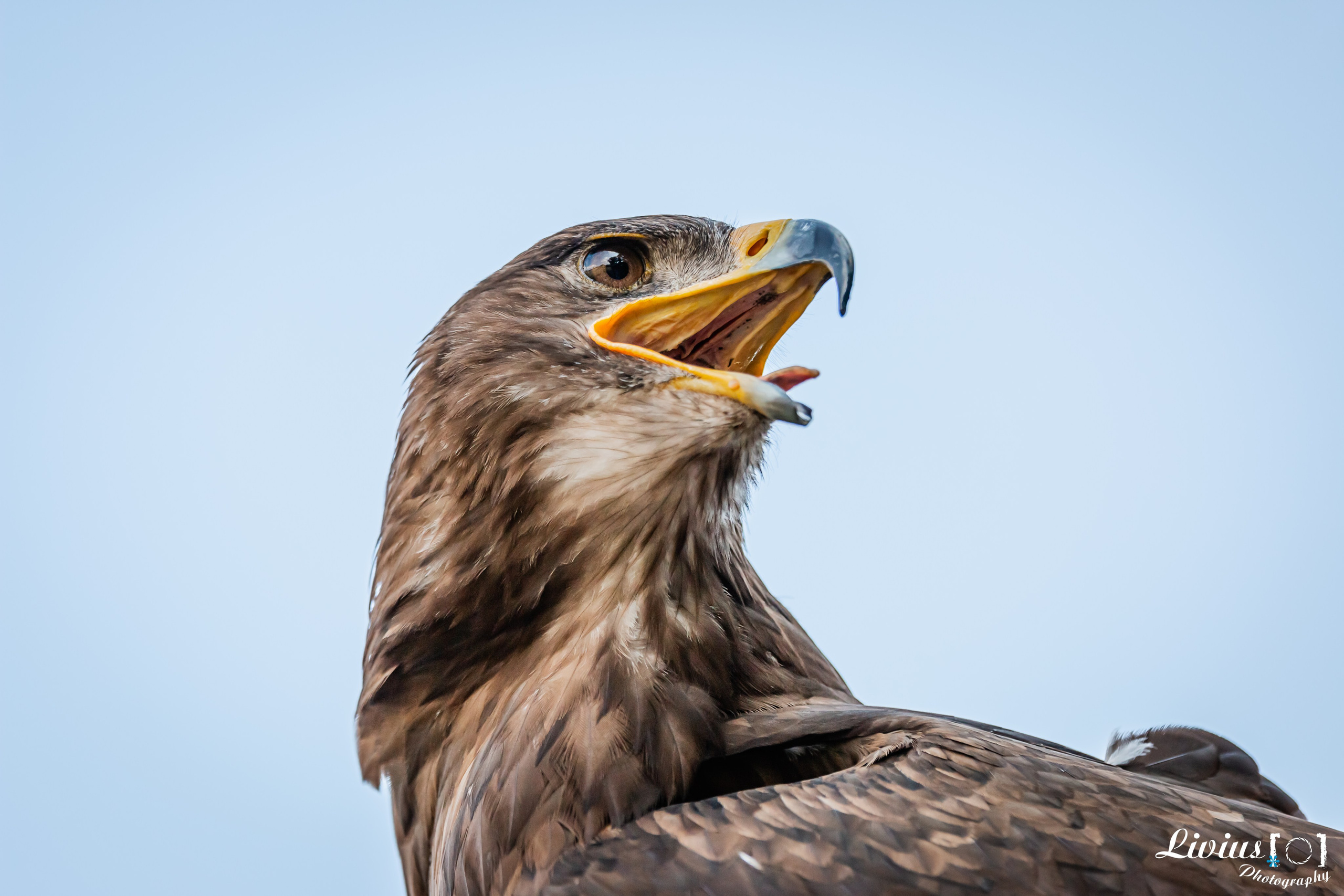 Wildpark Tambach. FOTO KREATIV