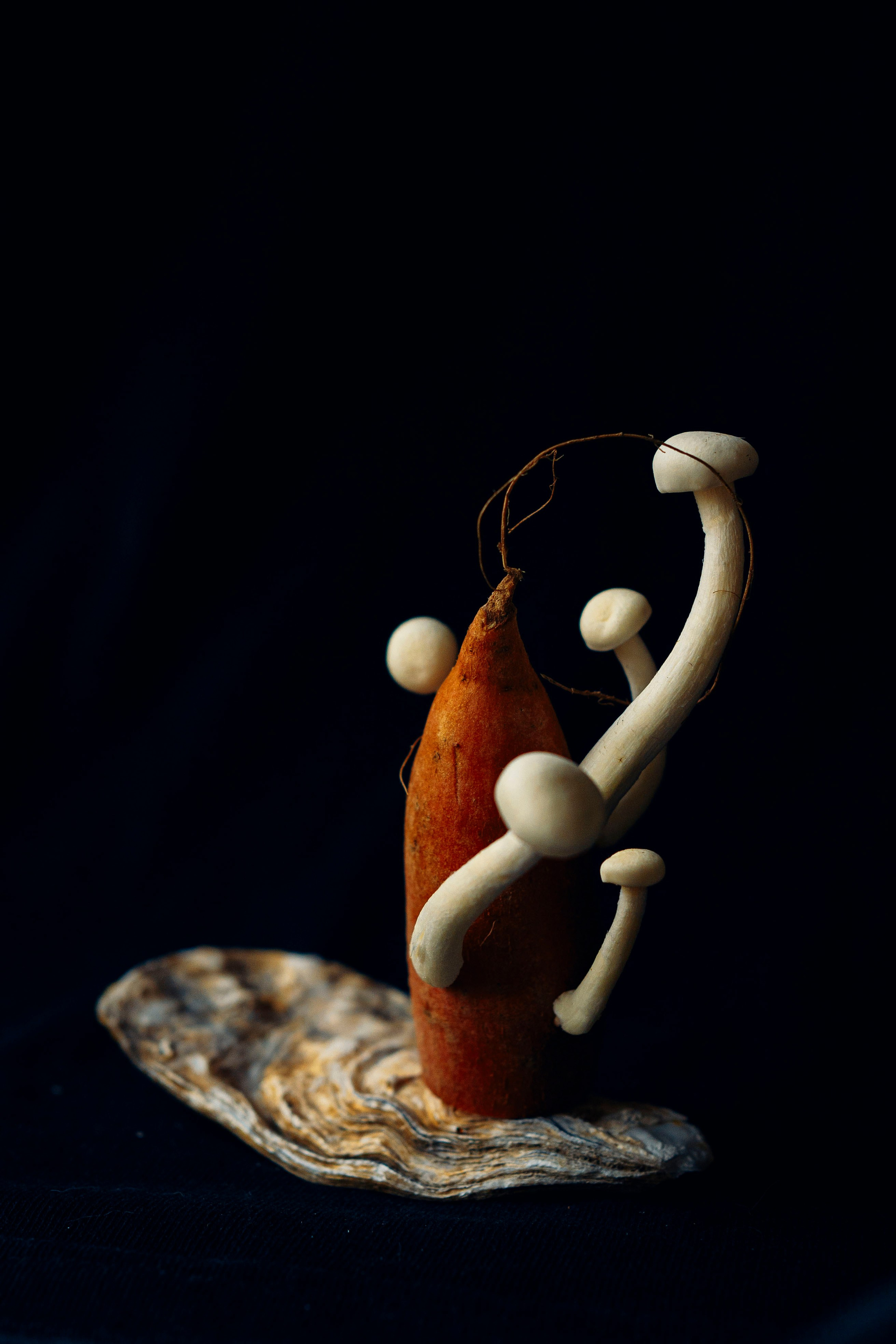 Sweet potato & mushrooms. Мария Шер. Профессиональный фотограф в городе Порту, Португалия