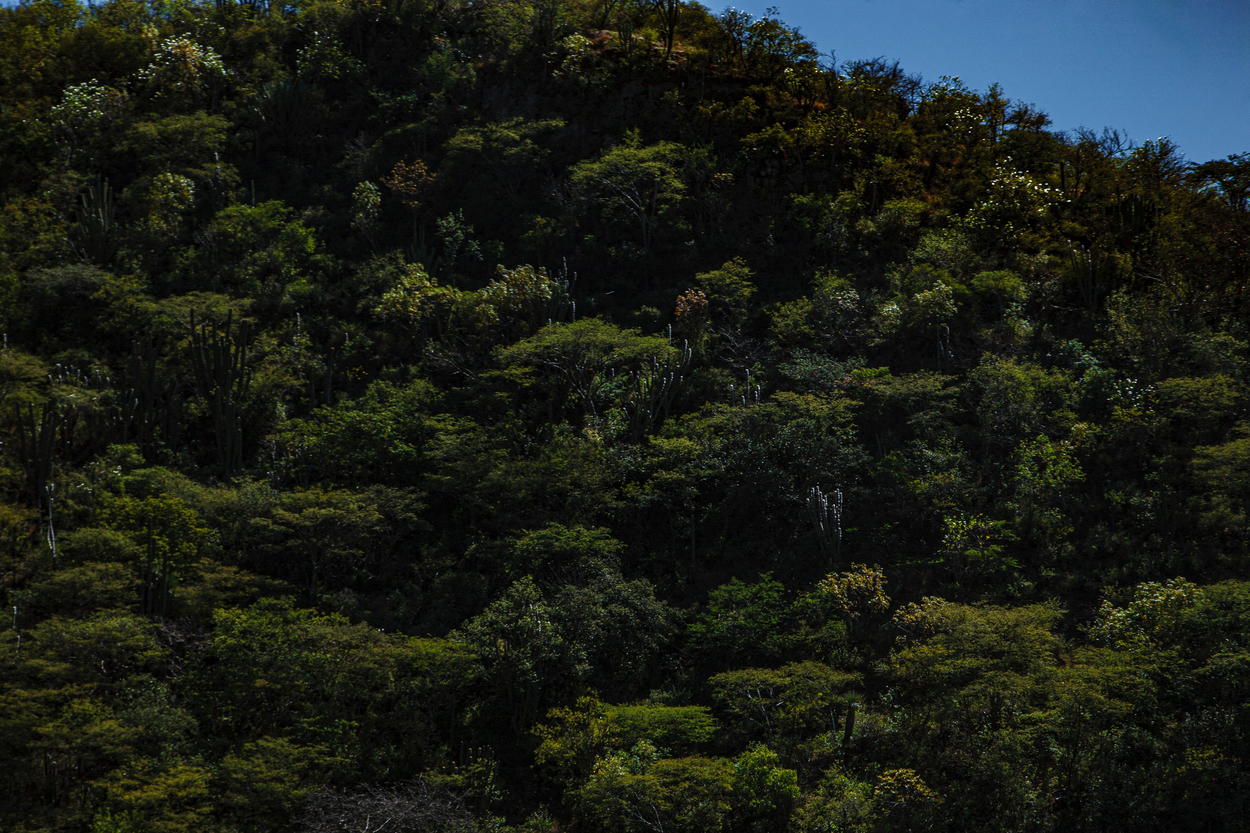 EXHIBITION. Lero Photographer and a set designer|individual custom portrait and advertising photography in Zutphen