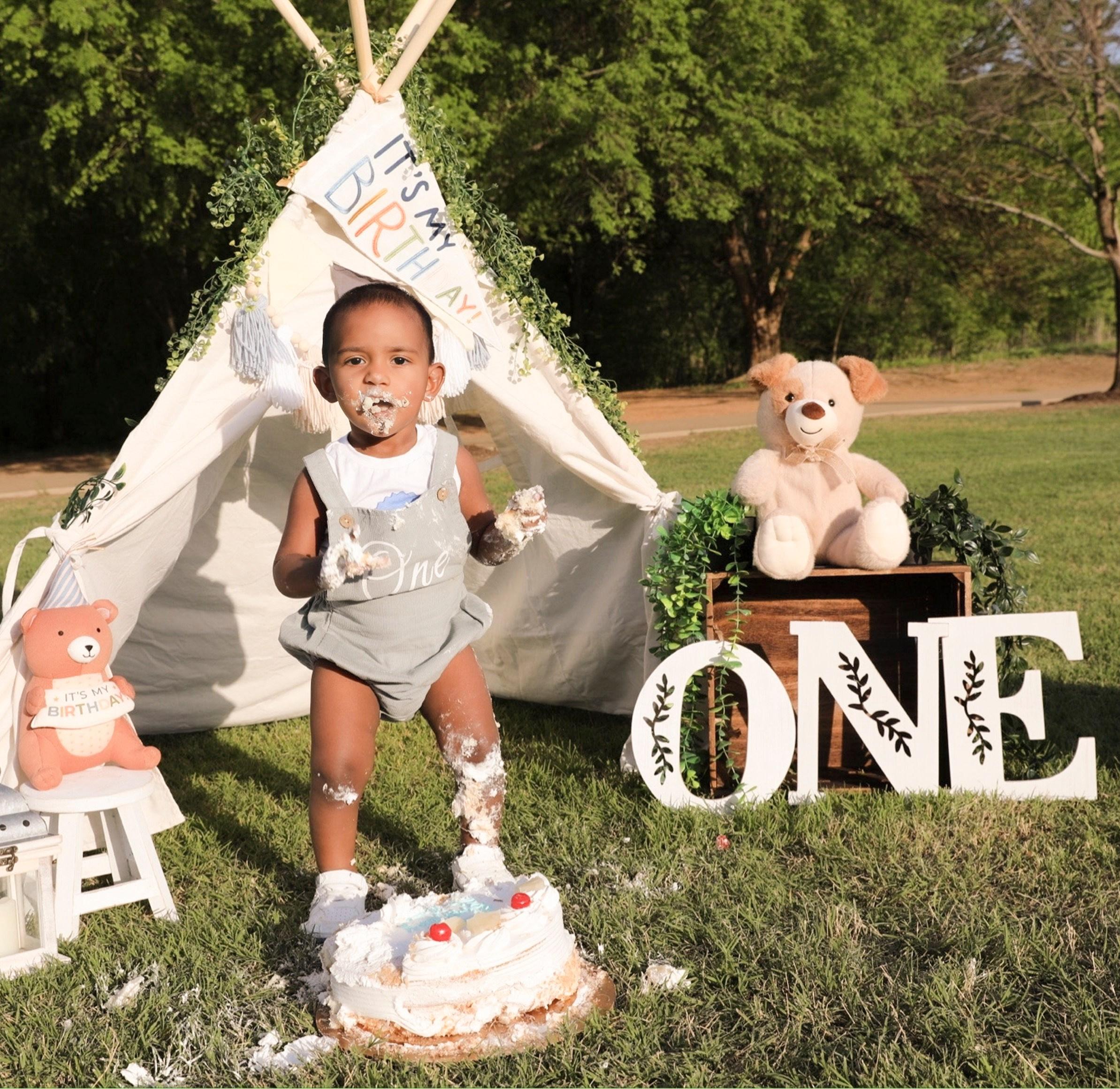Cakesmash. AP Lens Photography | Newborn, Maternity, Milestone & Family Photographer Little Elm TX