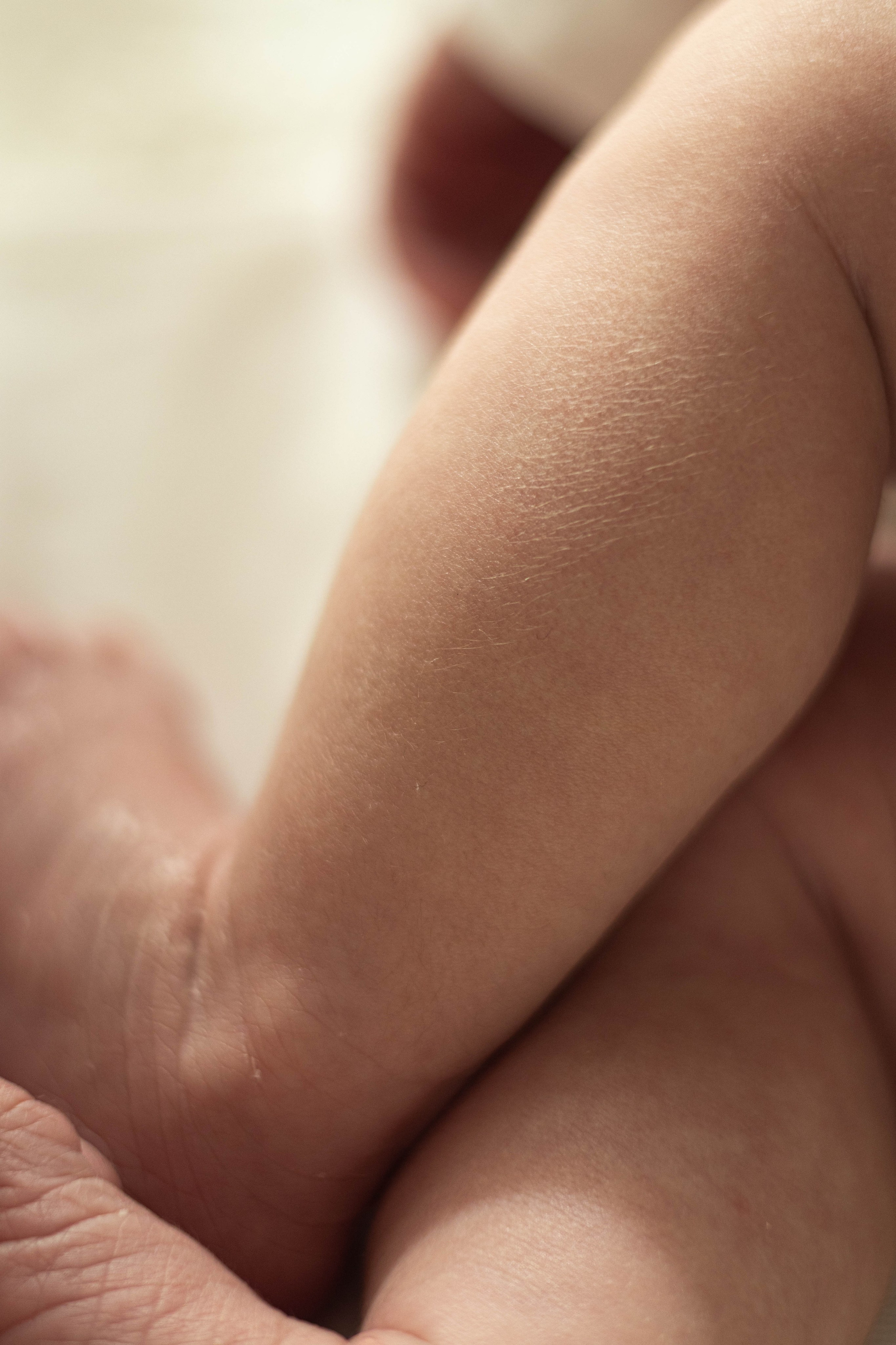 Newborn. Zwangerschapsfotografie, newborn, gezinnen, branding, liefde én geboortefotografie
