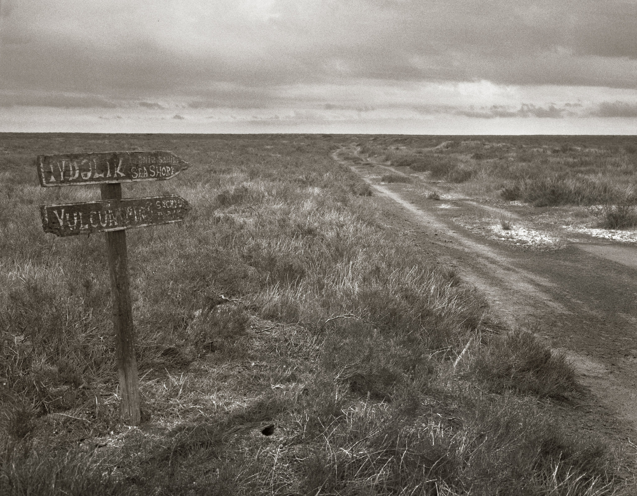 NATURE. Www.sananaleskerov.com