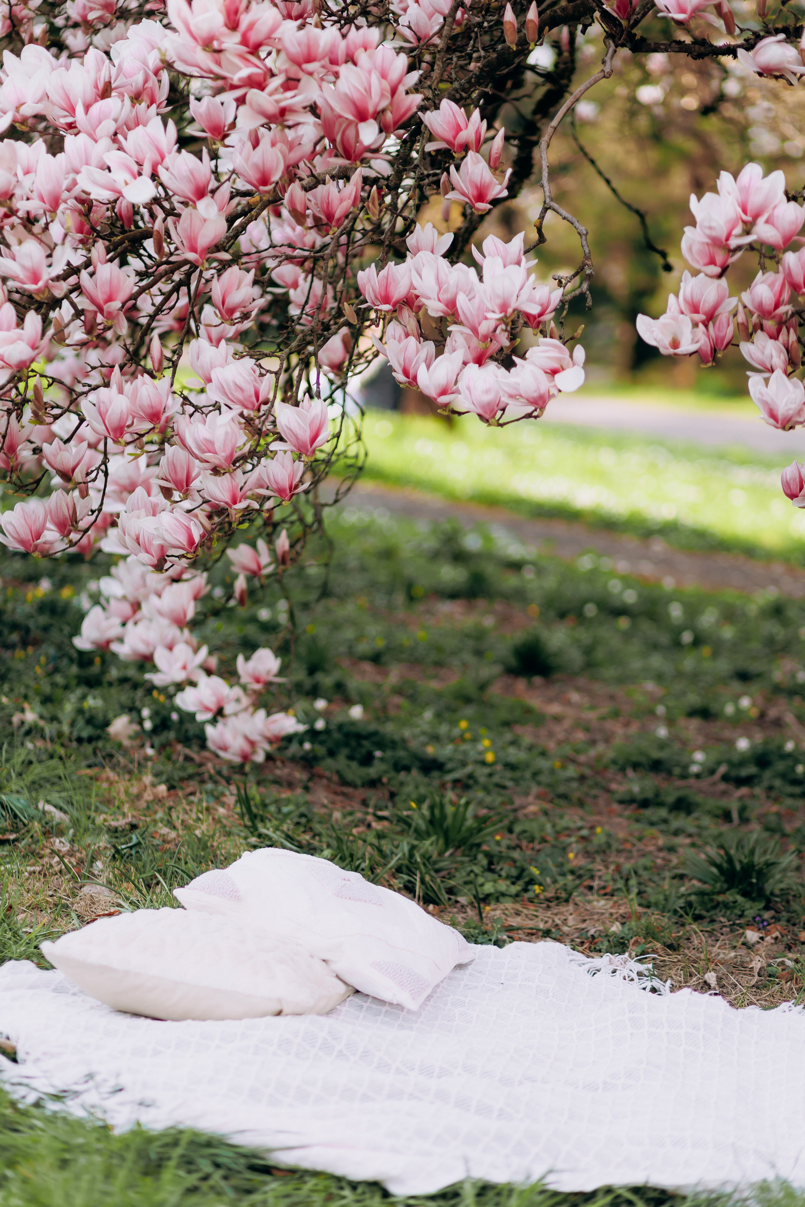 Tatiana, Alisa, Daria. Wedding and Family Photograph