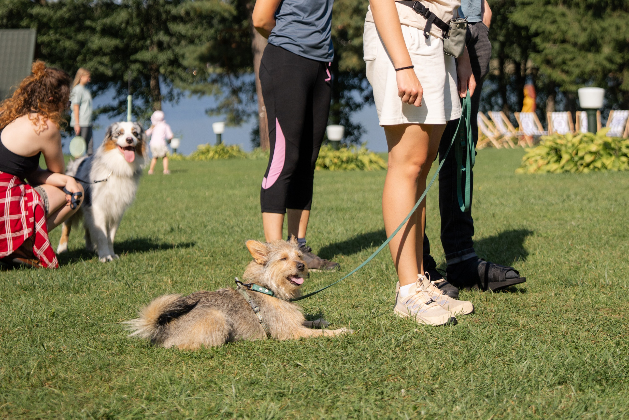 Heppi Dogo fest 2025. Vita Klimaševska ○ Fluffy Soulmate Photography
