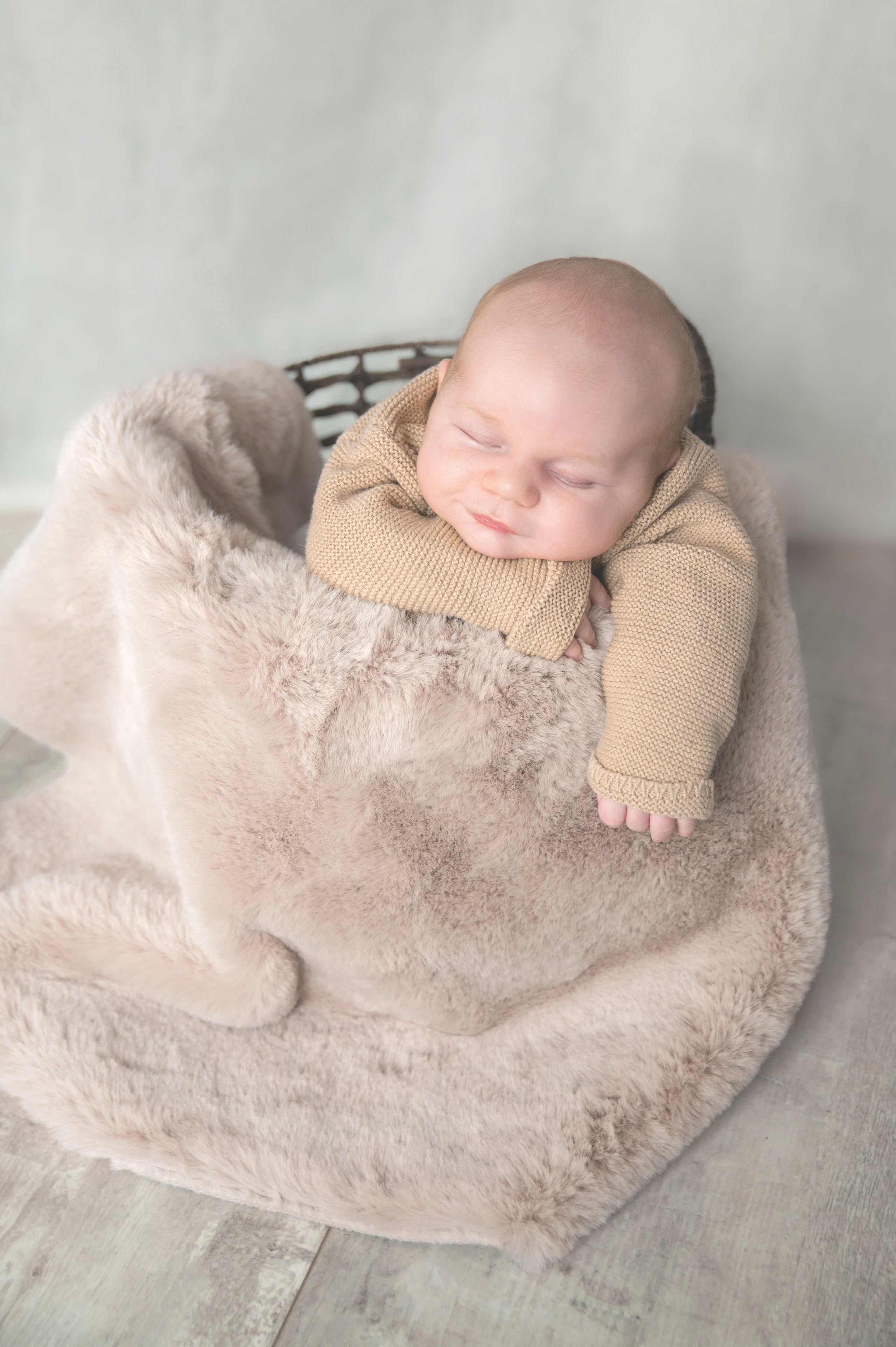 Familienfotografie. Tierfotografie und Familienfotografie in der Hallertau