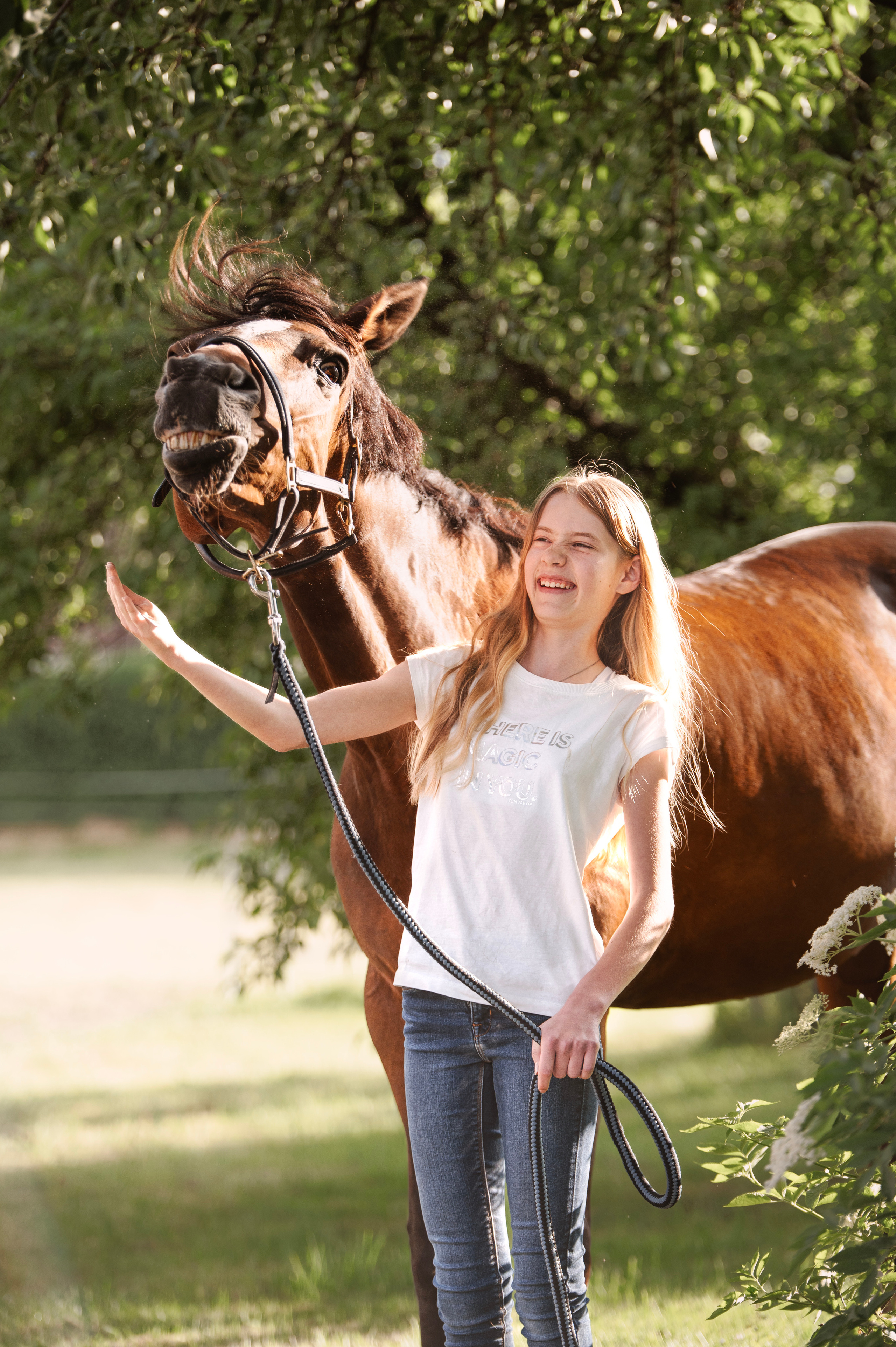 Pferdefotografie. Tierfotografie und Familienfotografie in der Hallertau