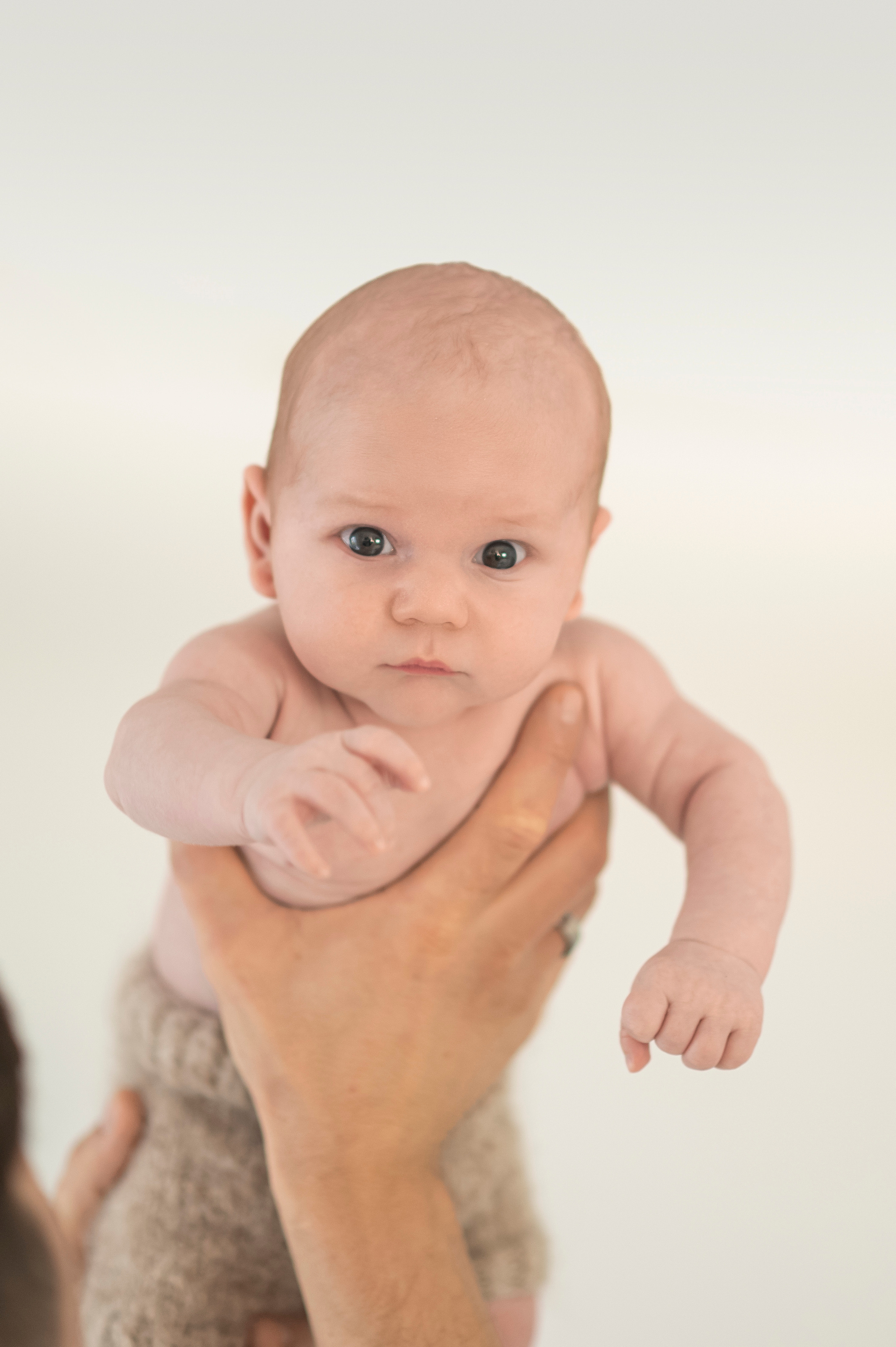 Familienfotografie. Tierfotografie und Familienfotografie in der Hallertau