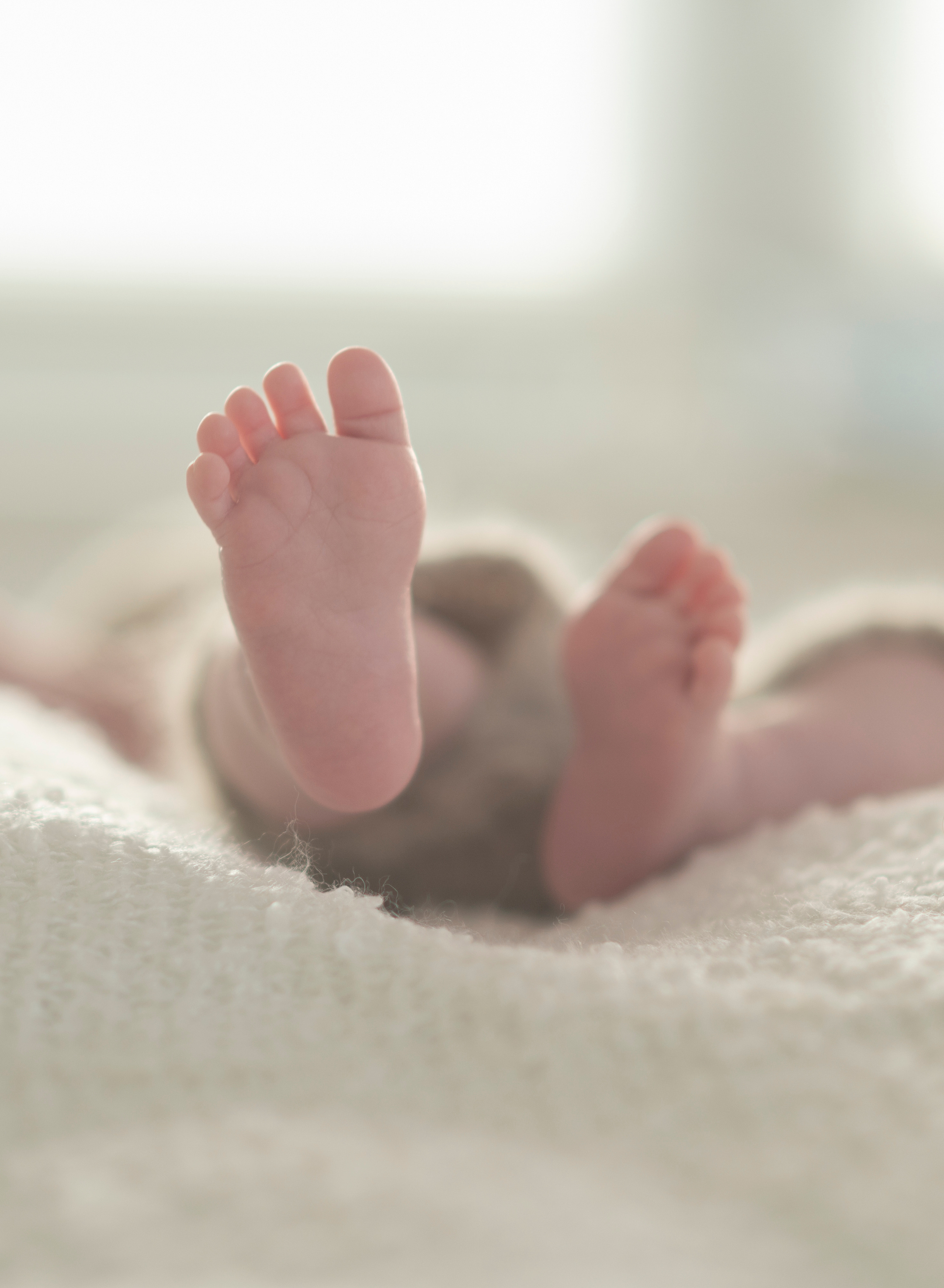 Familienfotografie. Tierfotografie und Familienfotografie in der Hallertau