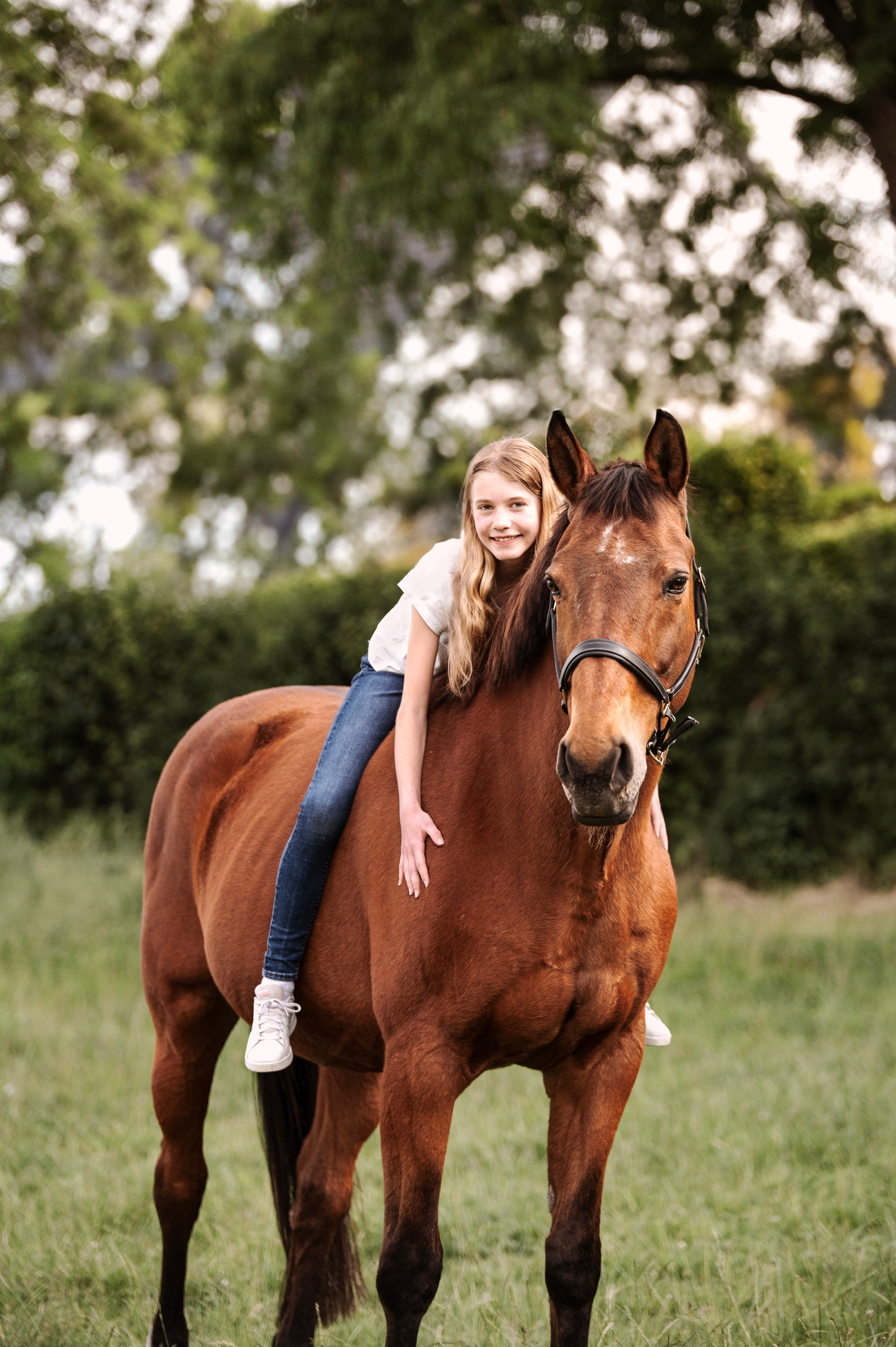 Pferdefotografie. Tierfotografie und Familienfotografie in der Hallertau