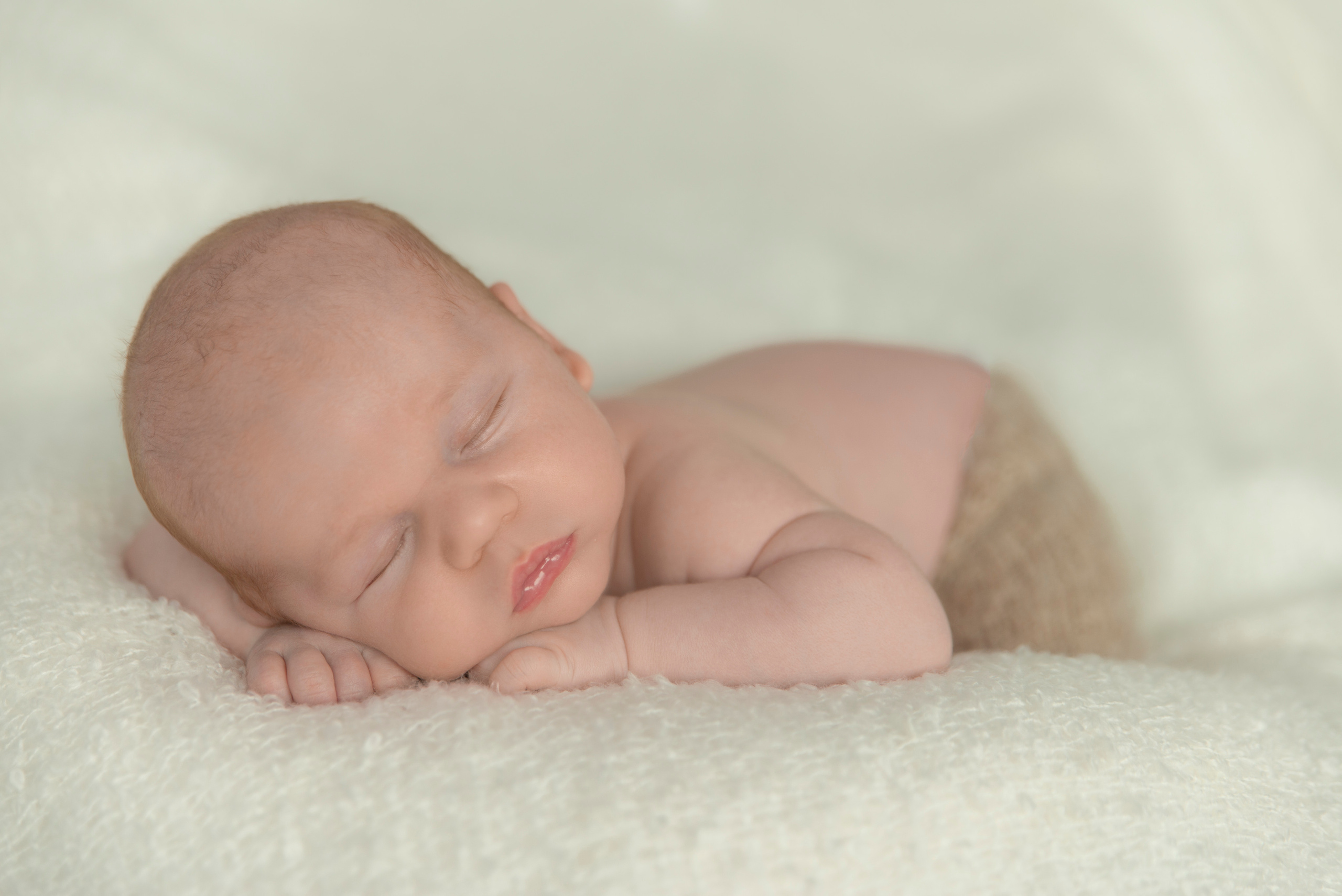 Familienfotografie. Tierfotografie und Familienfotografie in der Hallertau
