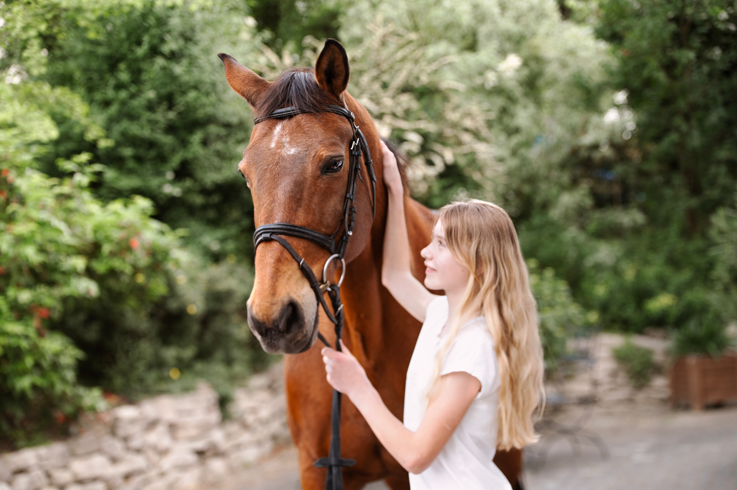 Pferdefotografie. Tierfotografie und Familienfotografie in der Hallertau