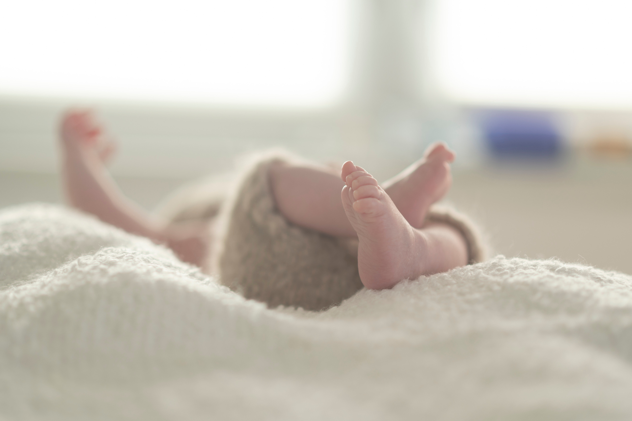 Familienfotografie. Tierfotografie und Familienfotografie in der Hallertau