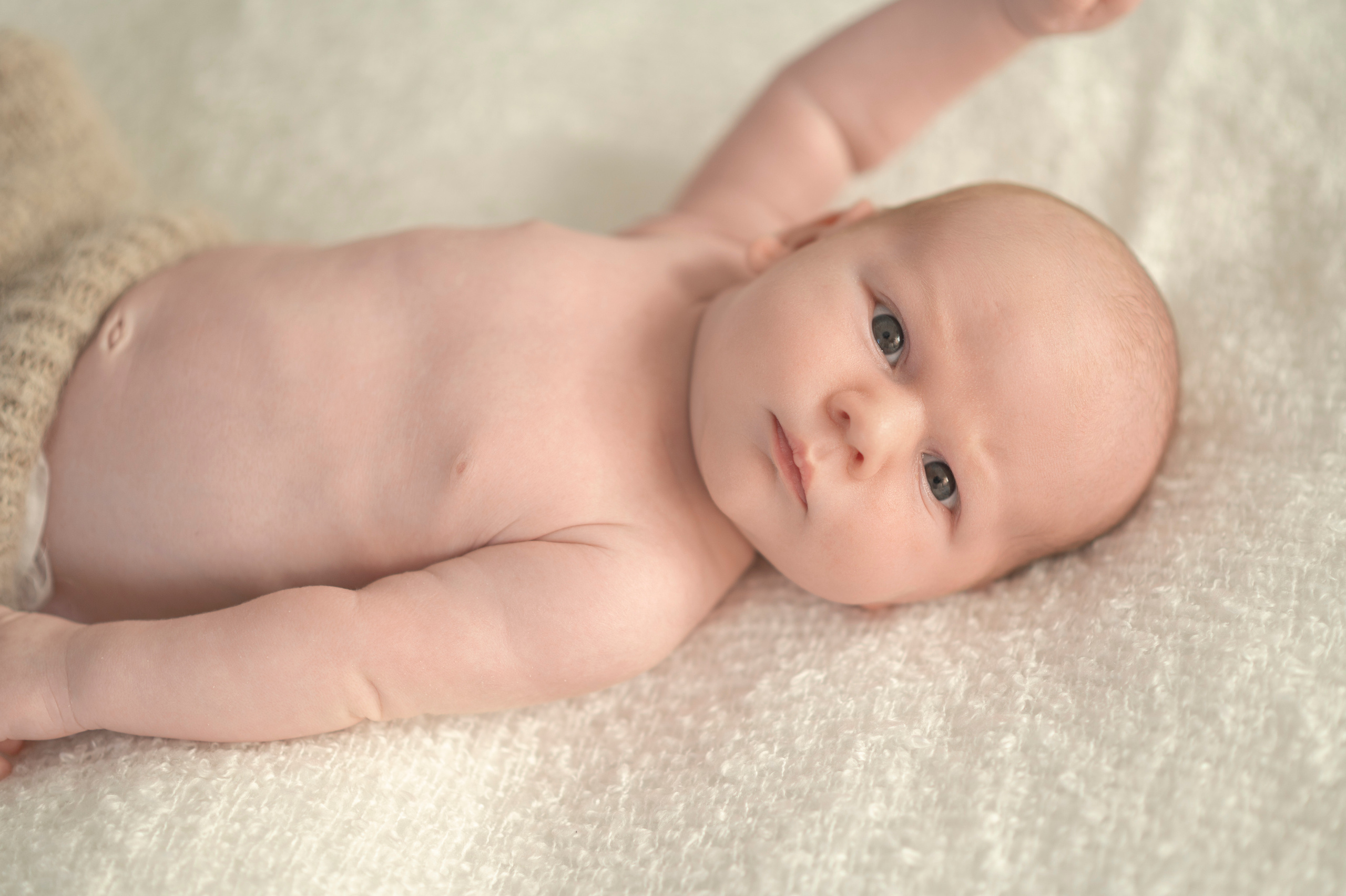 Familienfotografie. Tierfotografie und Familienfotografie in der Hallertau