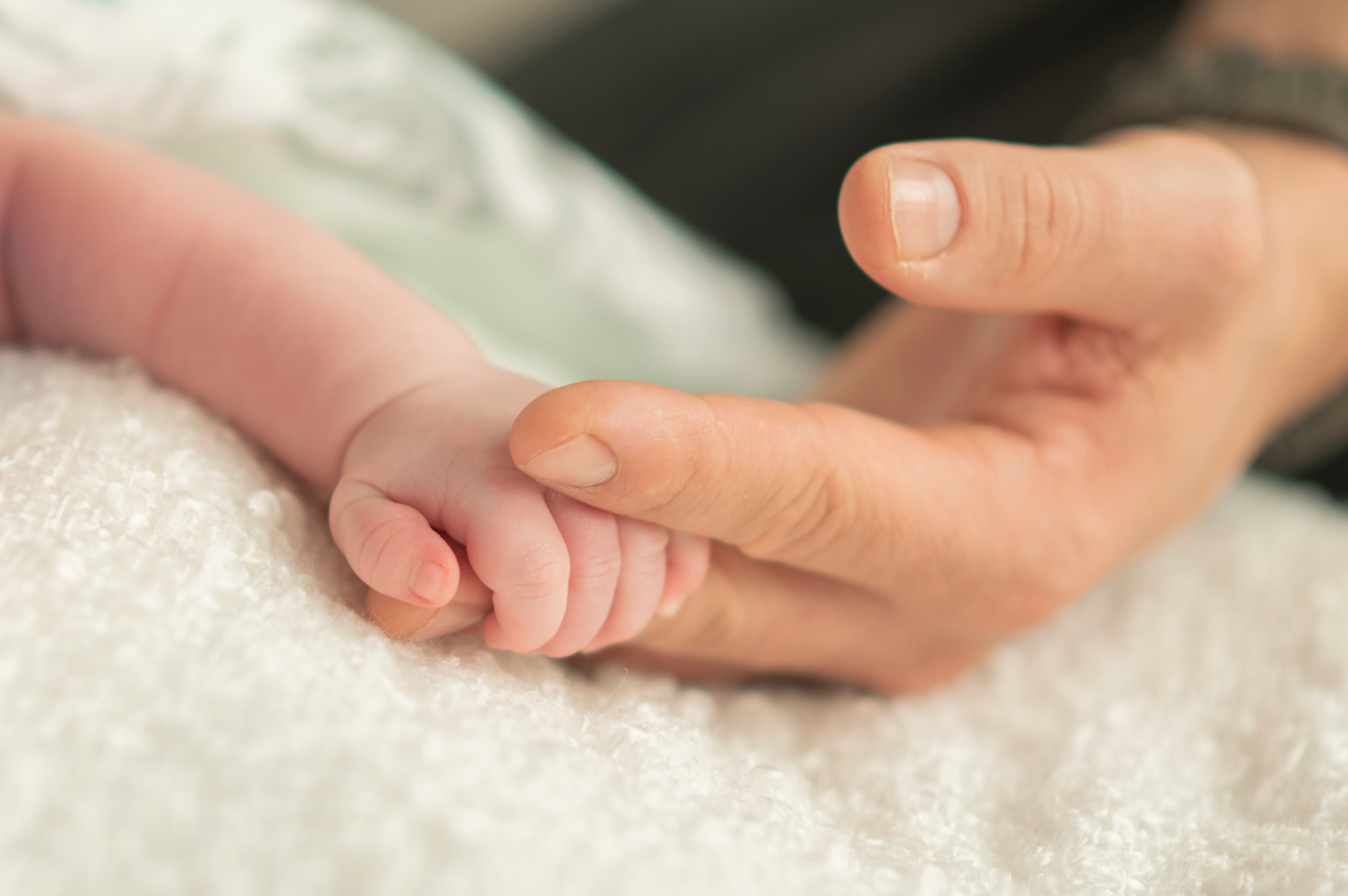 Familienfotografie. Tierfotografie und Familienfotografie in der Hallertau