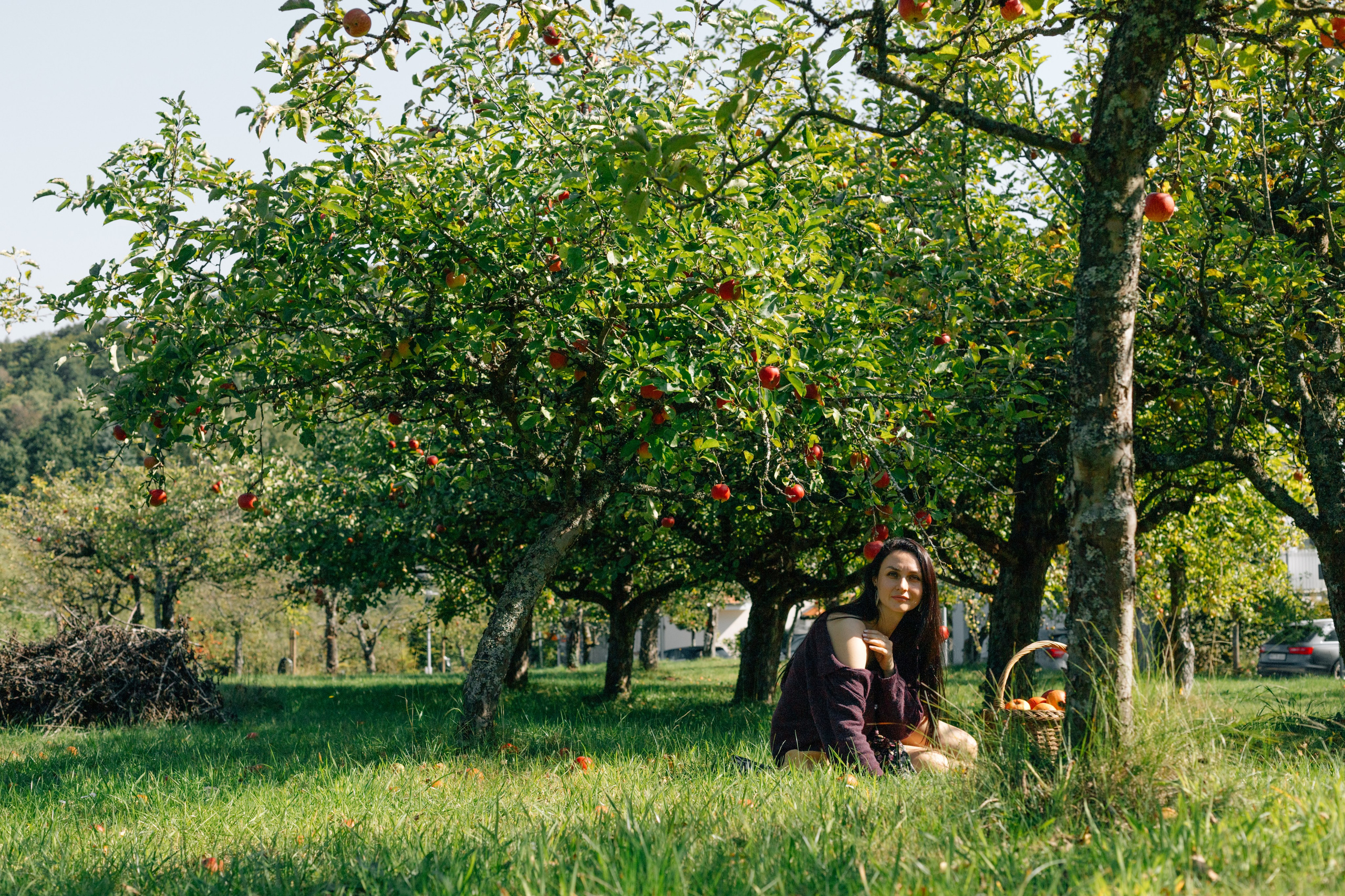 In Garten. PHOTOgrapher Germany MARBURG