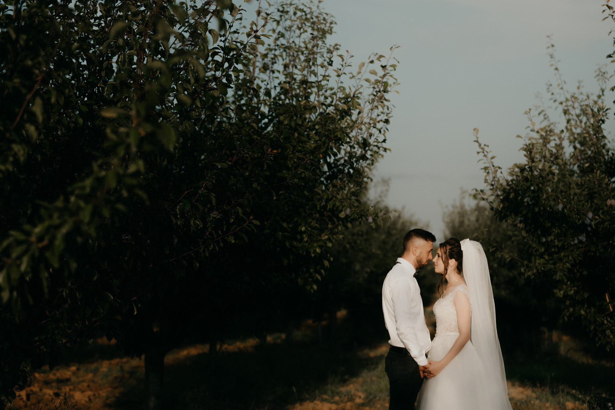 Costel si Mihaela. Wedding photographer and videographer