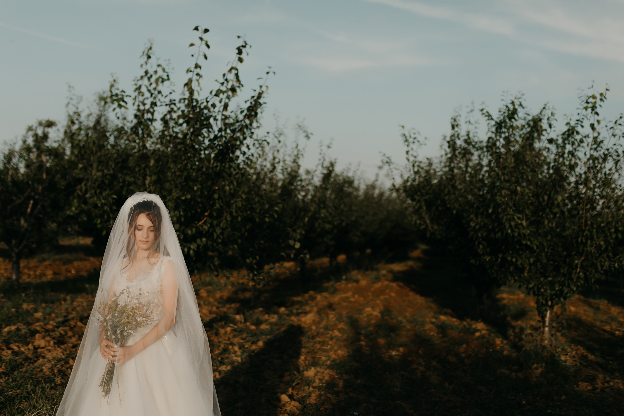 Costel si Mihaela. Wedding photographer and videographer