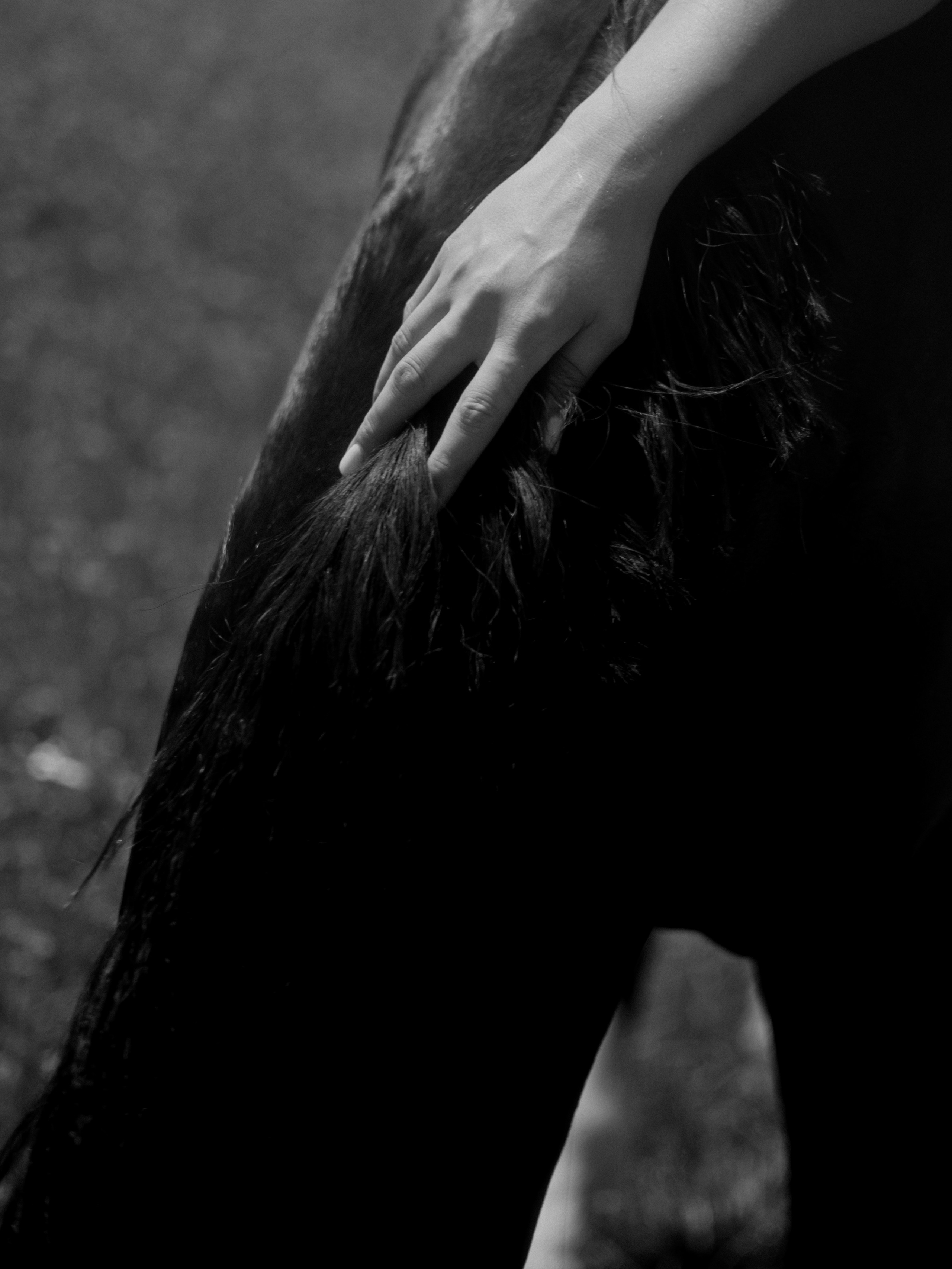 Diana. Daria Sazanova — Portrait photographer in Bratislava and Vienna