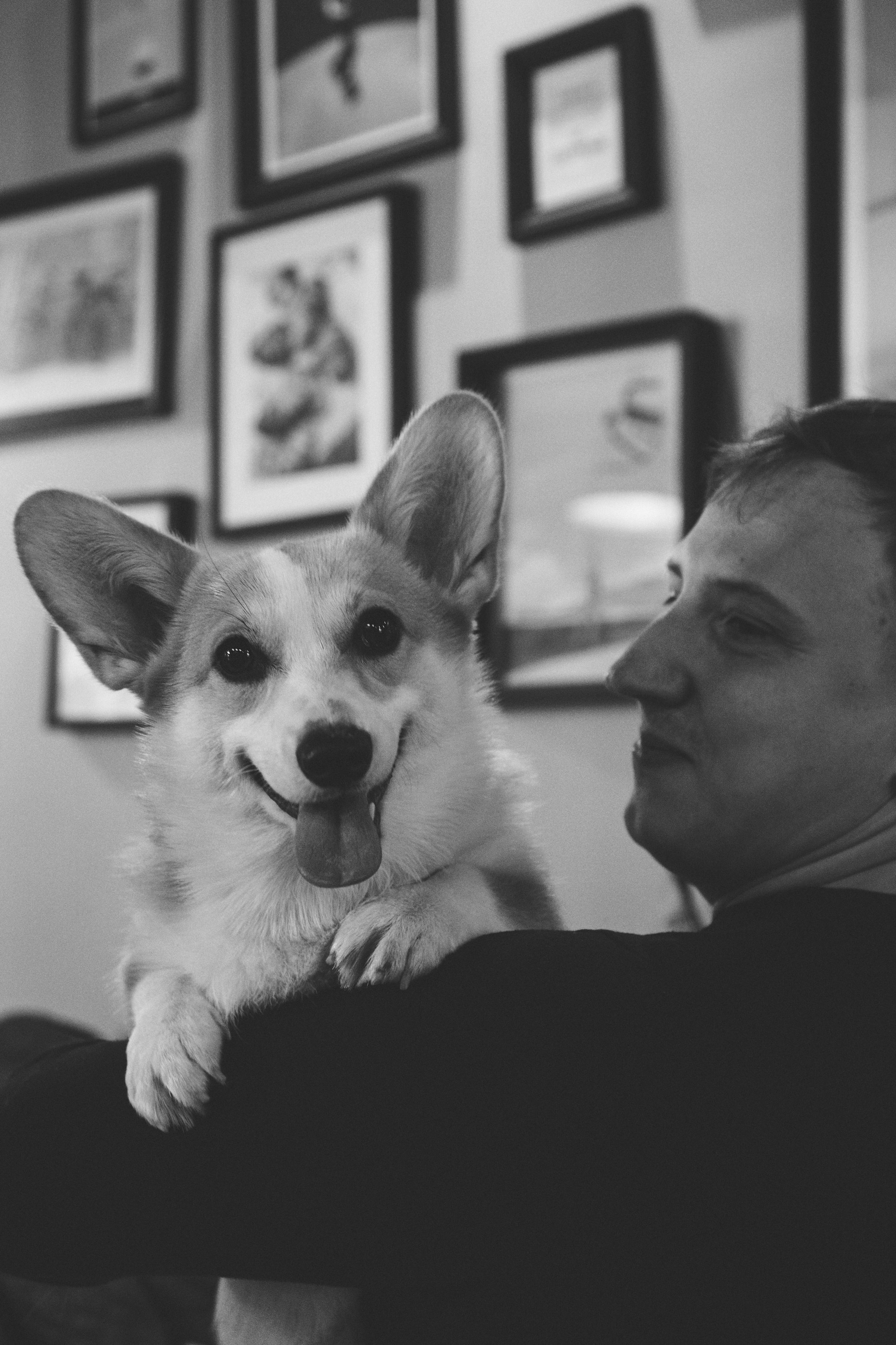 Maarika, Jegor and their Luna, Pembroke Welsh Corgi. Kat Laisaar — Pet photographer in Tallinn