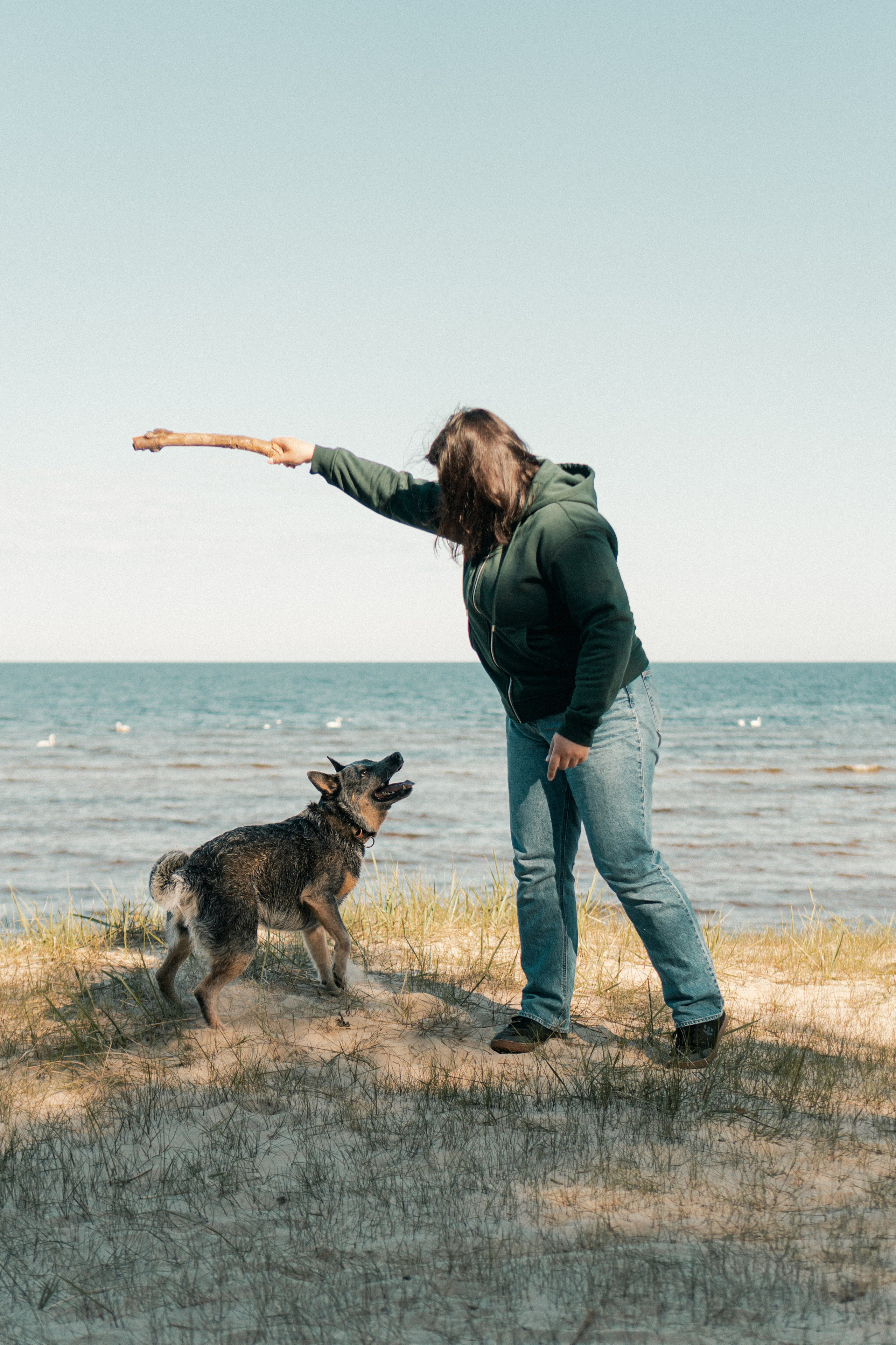 Oskar, Maria & Dmitrii. Kat Laisaar — Pet photographer in Tallinn
