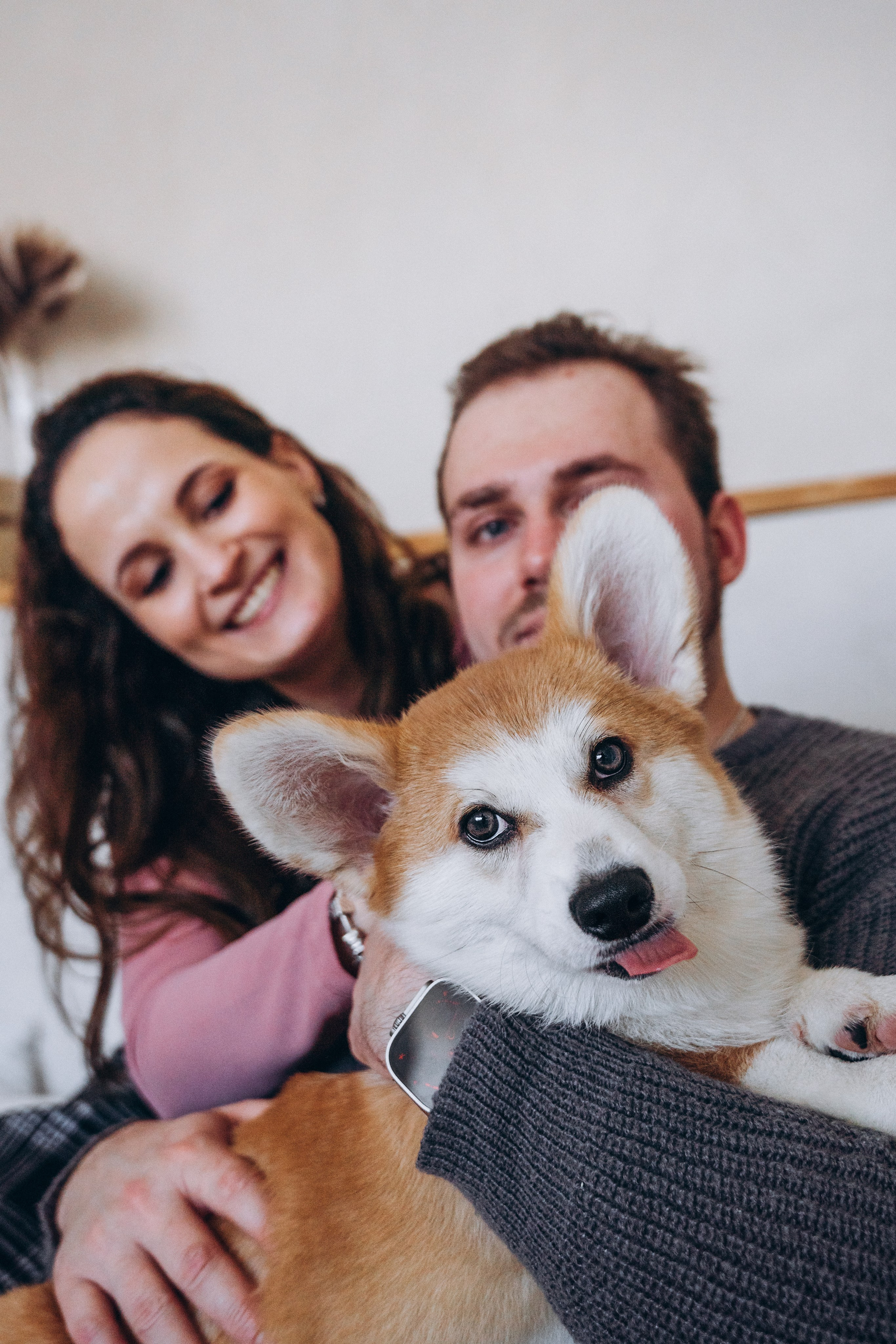 Mars & his Family. Kat Laisaar — Pet photographer in Tallinn