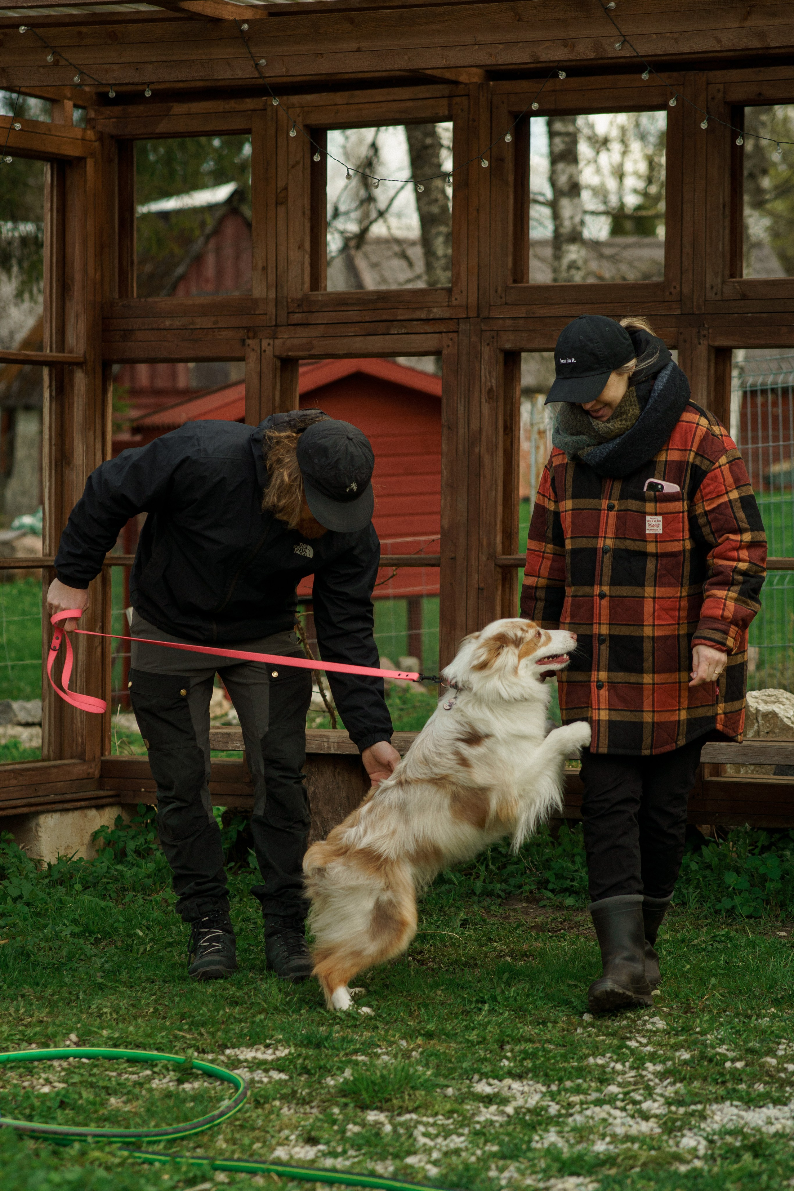 Herding Days, 26 apr. 2025. Kat Laisaar — Pet photographer in Tallinn