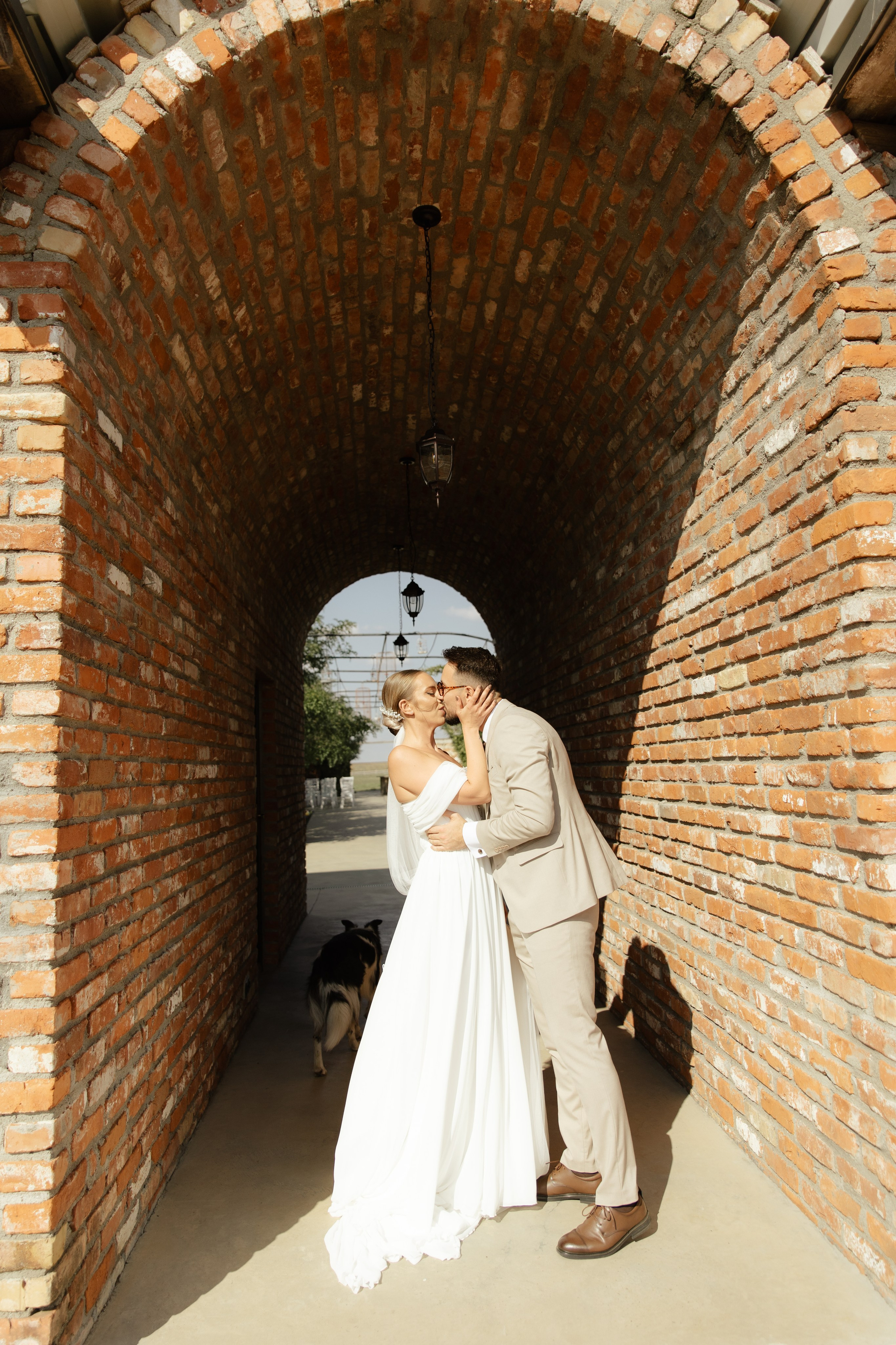 Wedding at Province Timisoara | Cristina & Robert. Wedding photographer and videographer based in Timisoara, Romania