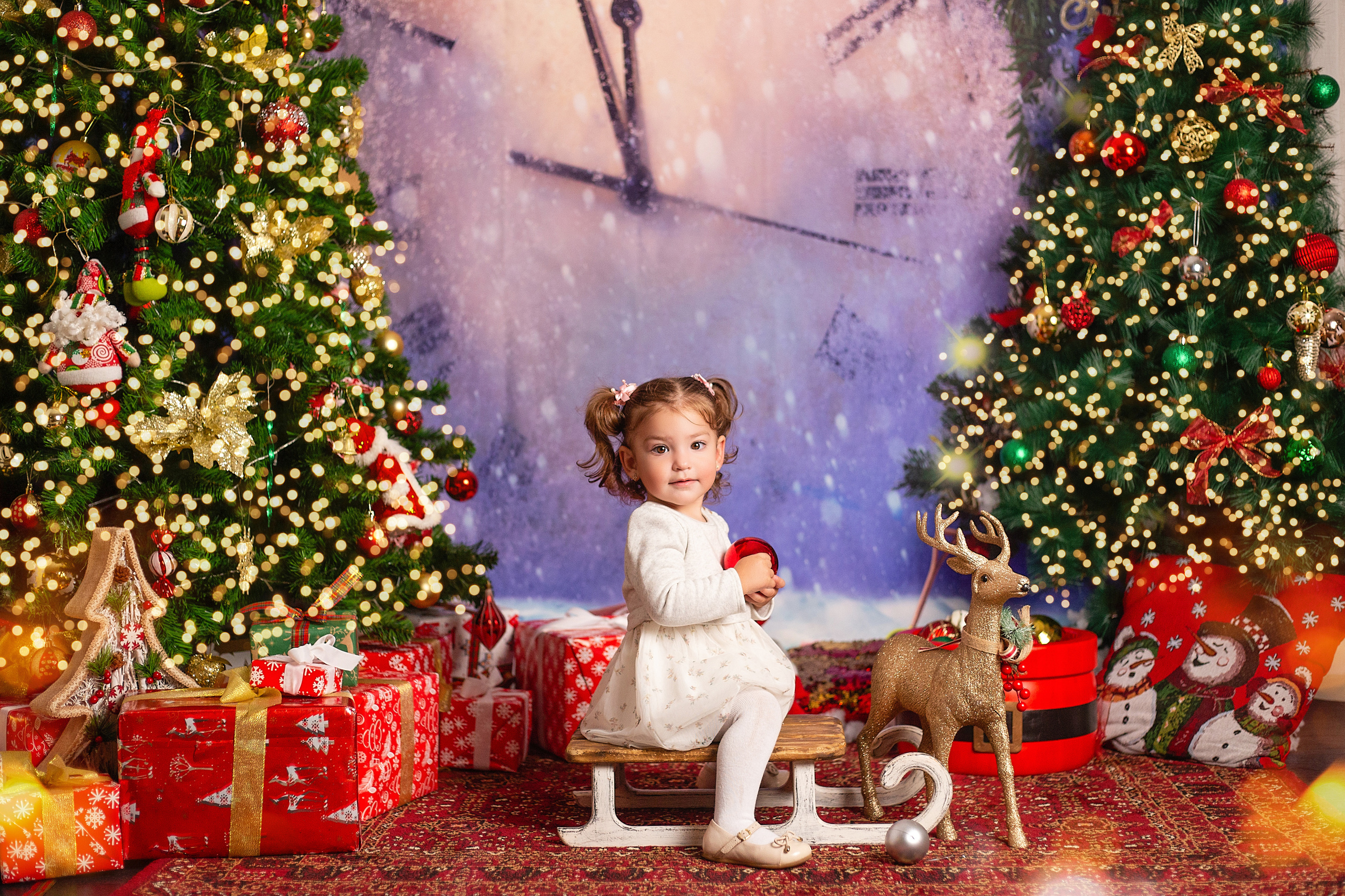 צילומי ילדים. צלמת ילדים, הריון ומשפחה בישראל