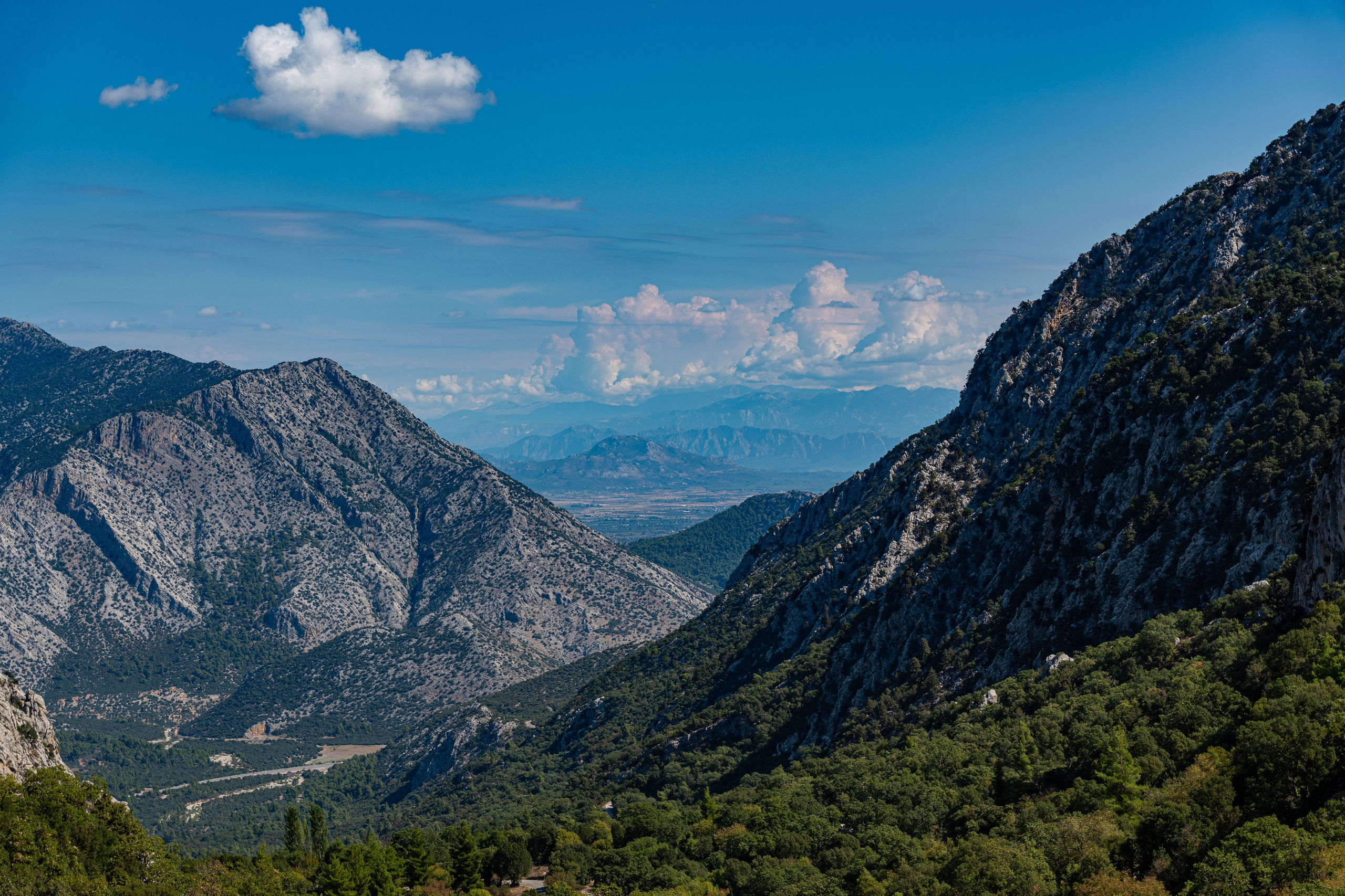 TURKEY & NATURE. UNRATED PHOTO