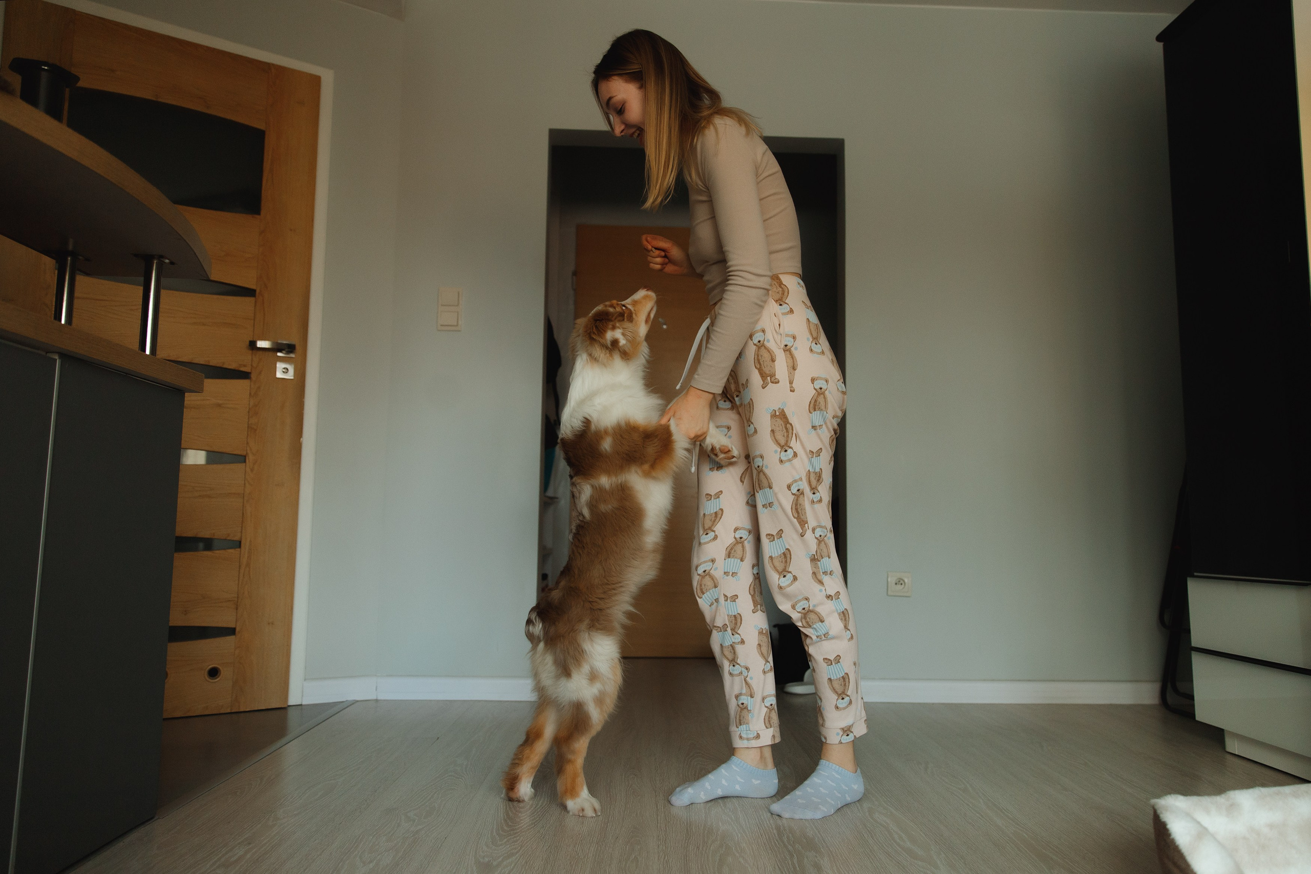 Fotografia psów Wrocław. Kaja | fotograf we Wrocławiu | ludzie i psy