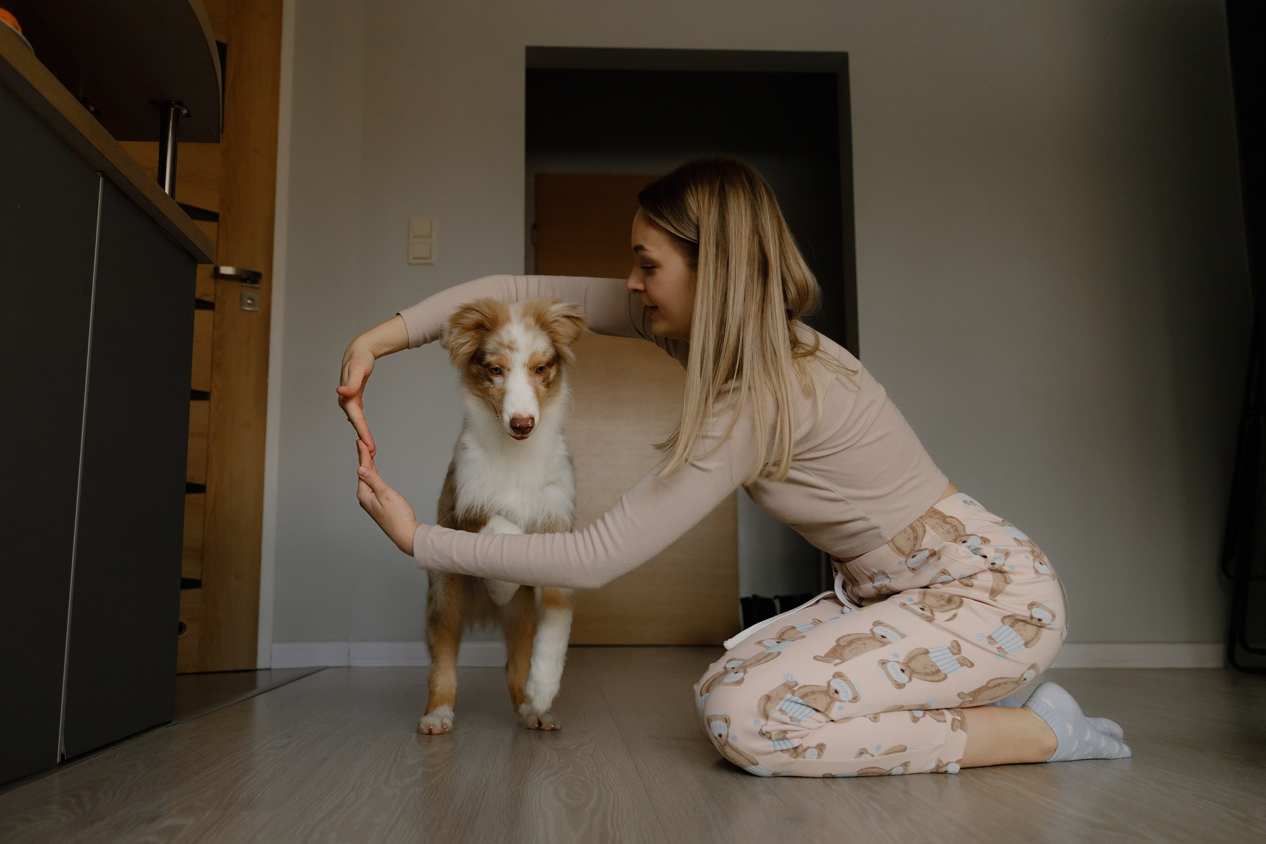 Fotografia psów Wrocław. Kaja | fotograf we Wrocławiu | ludzie i psy