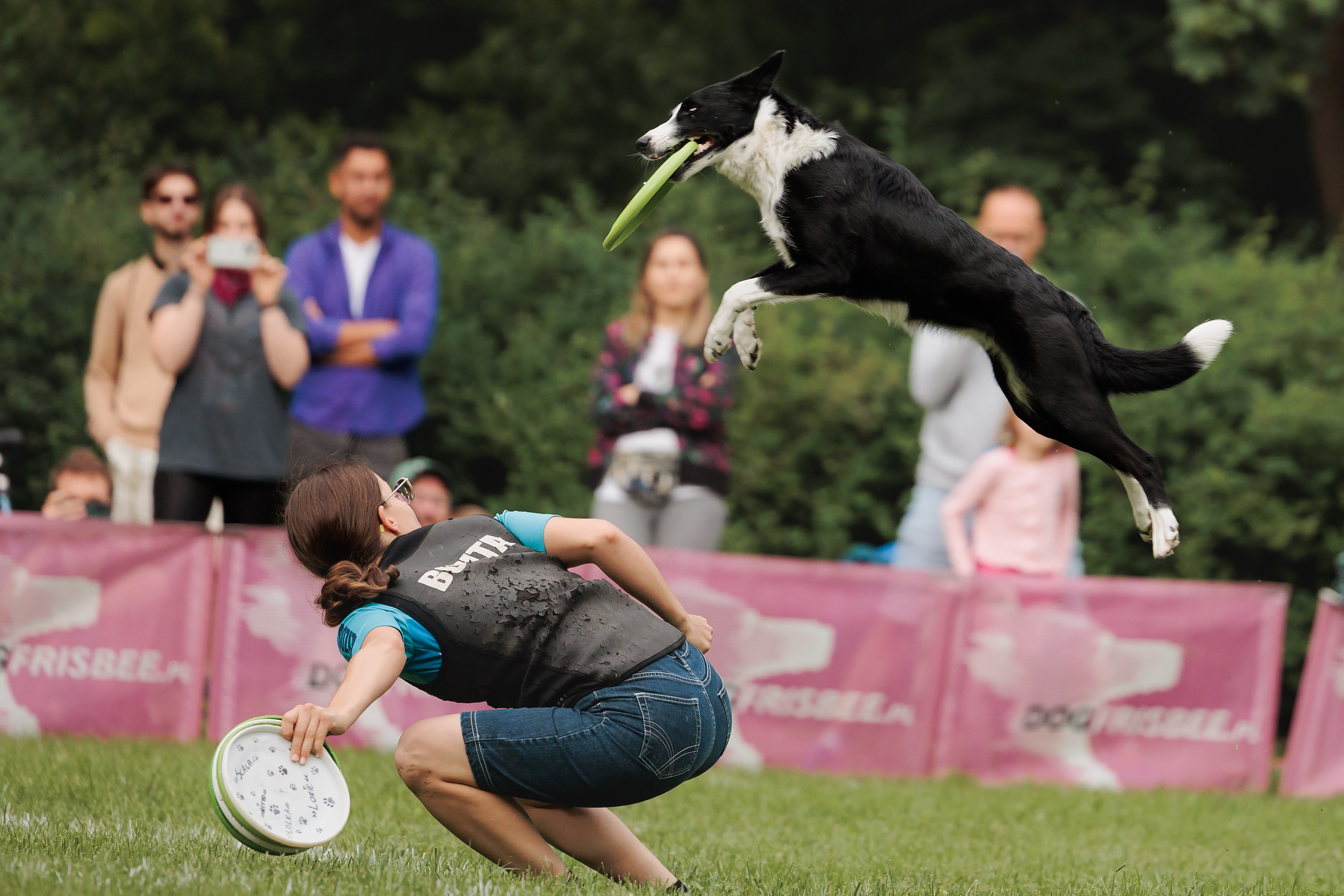 Latające psy, Wrocław'25. Kaja | fotograf psów we Wrocławiu