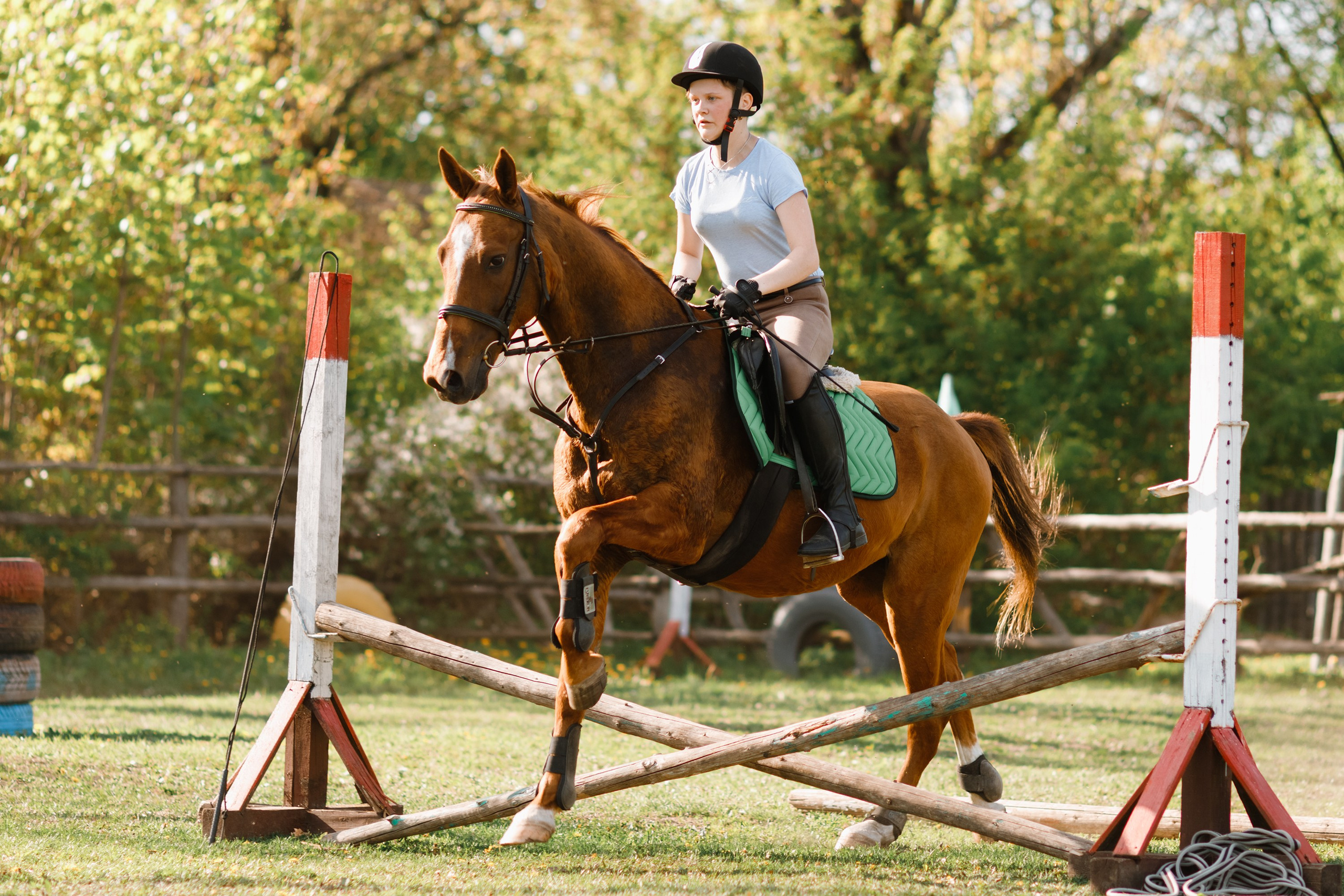 Girls & horses, summer. Kaja | fotograf psów we Wrocławiu