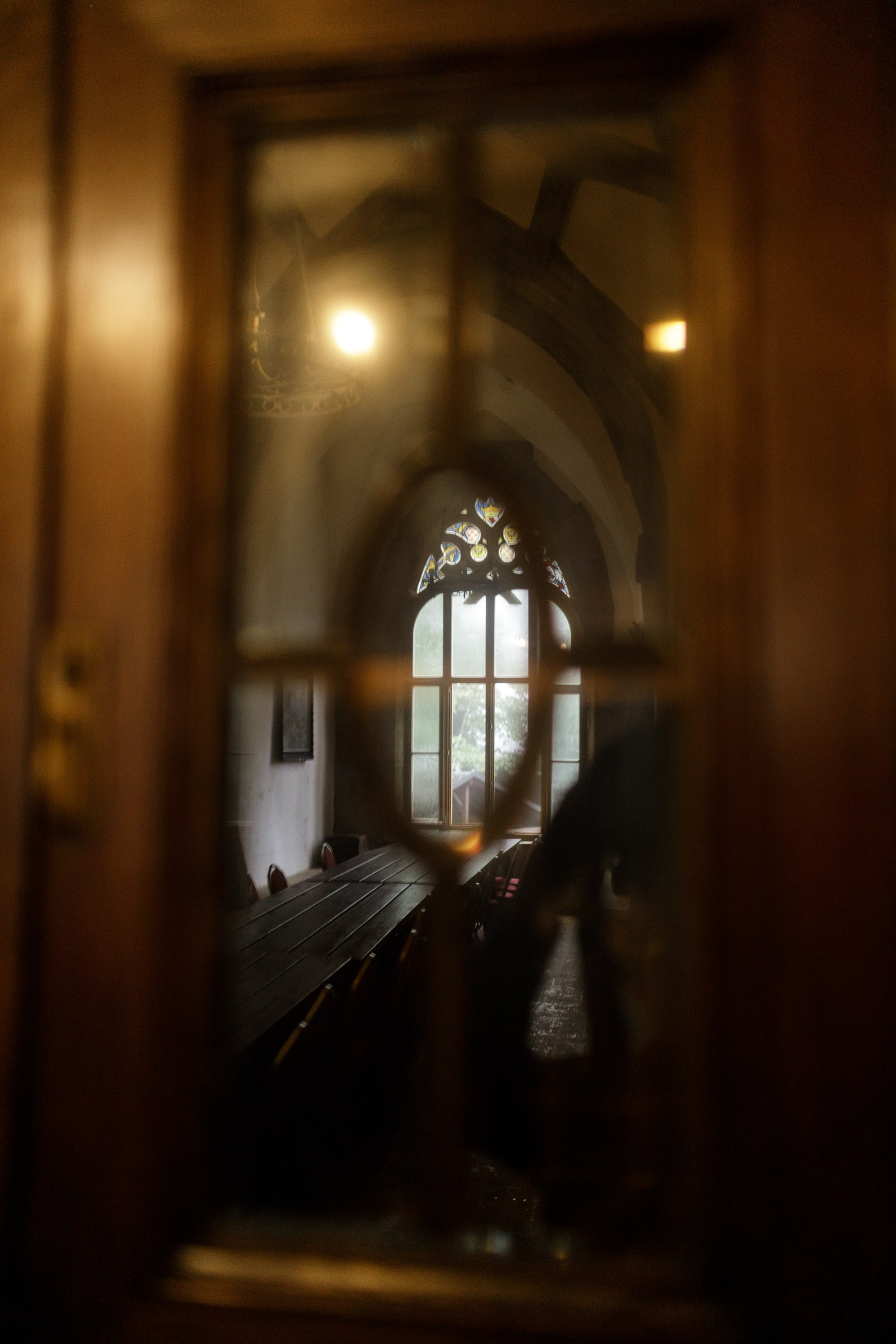 Zamek Grodziec. Kaja | fotograf psów we Wrocławiu