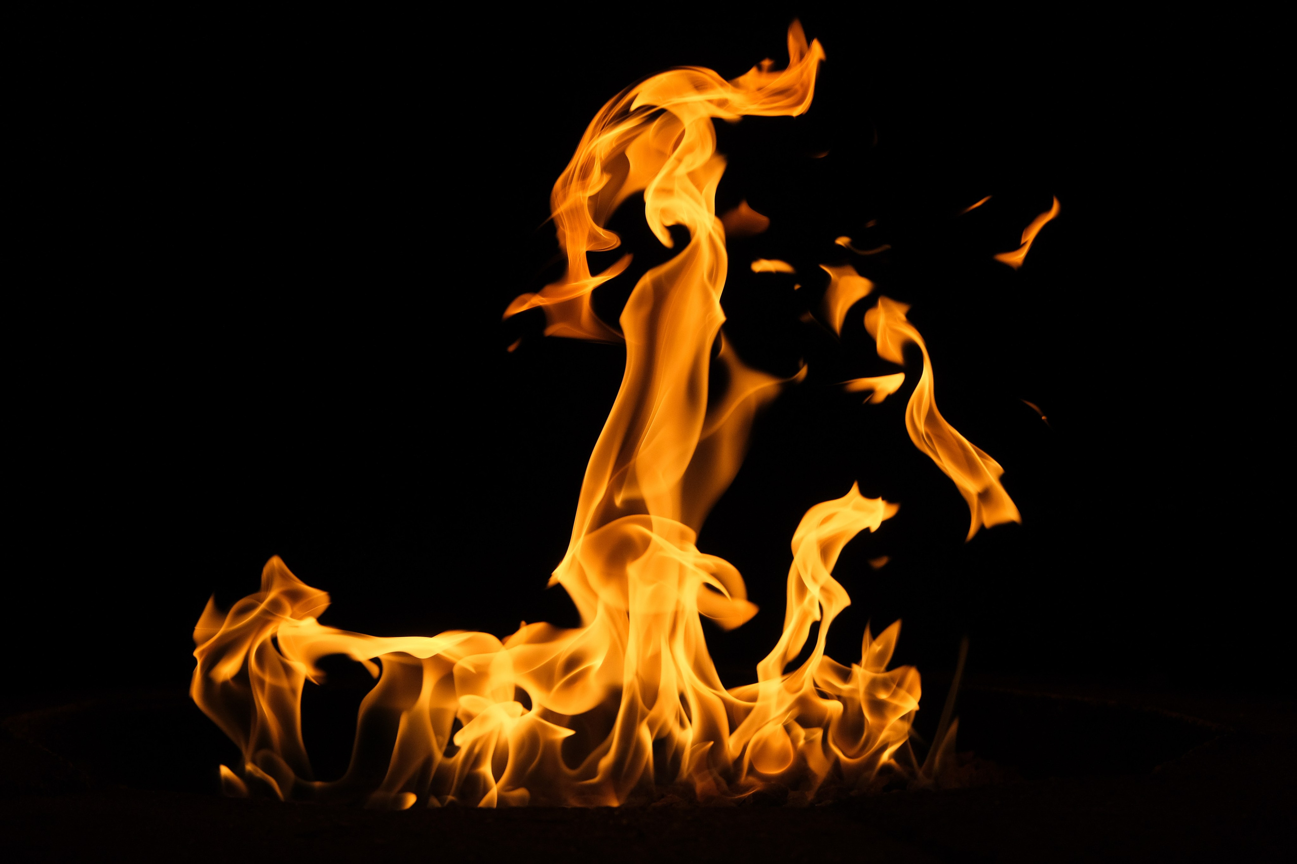 VATRA. Reportage concert portrait photography in the San Francisco Bay Area